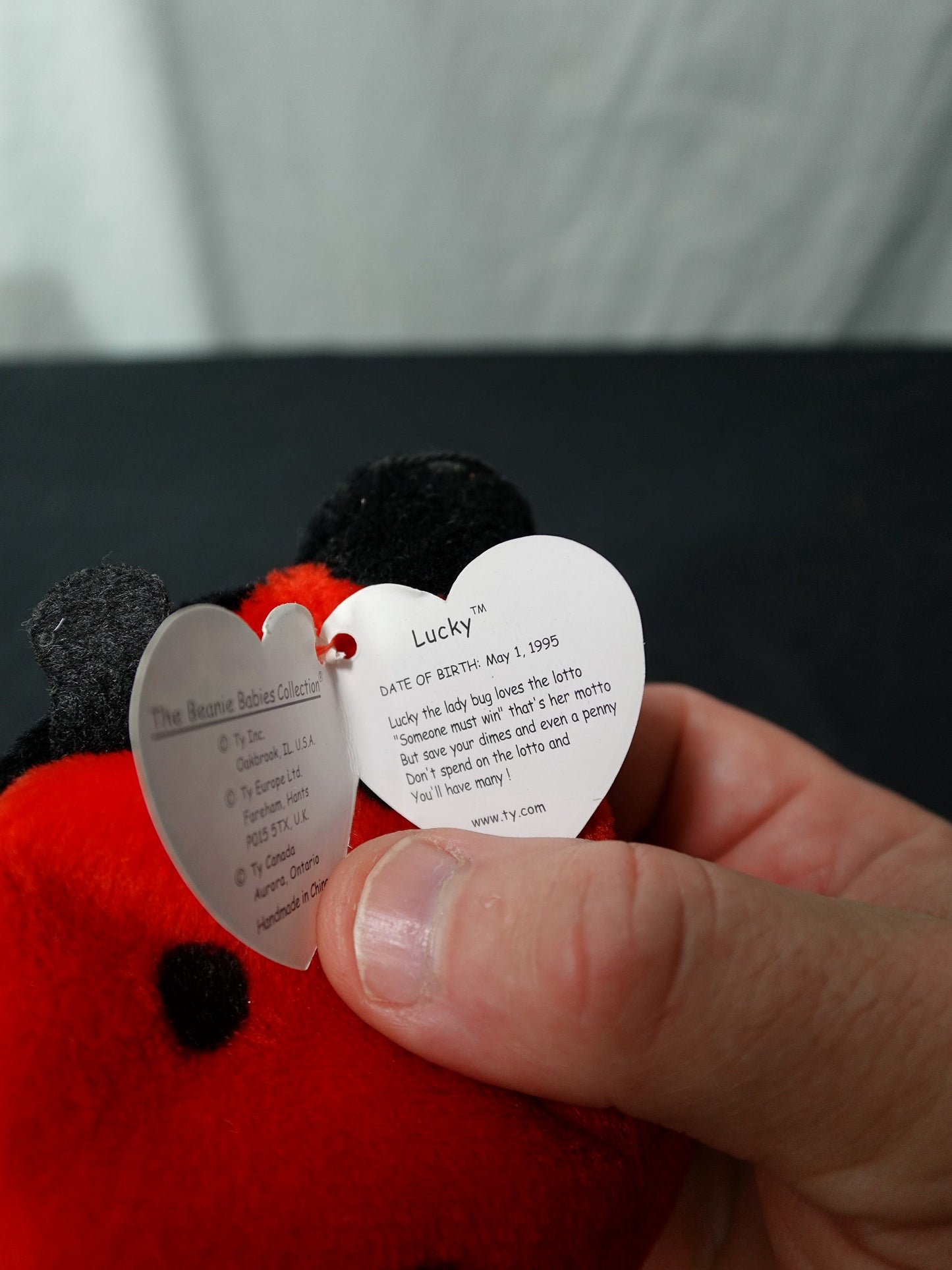 Ty Beanie Babies Lucky Ladybug Plush Toy