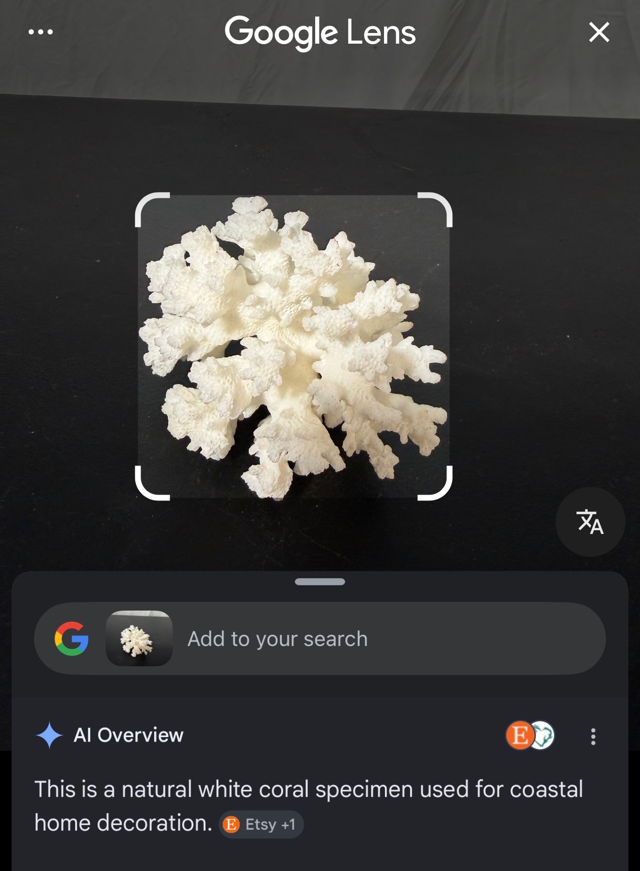 Natural White Coral Specimen for Home Decoration - photo 7