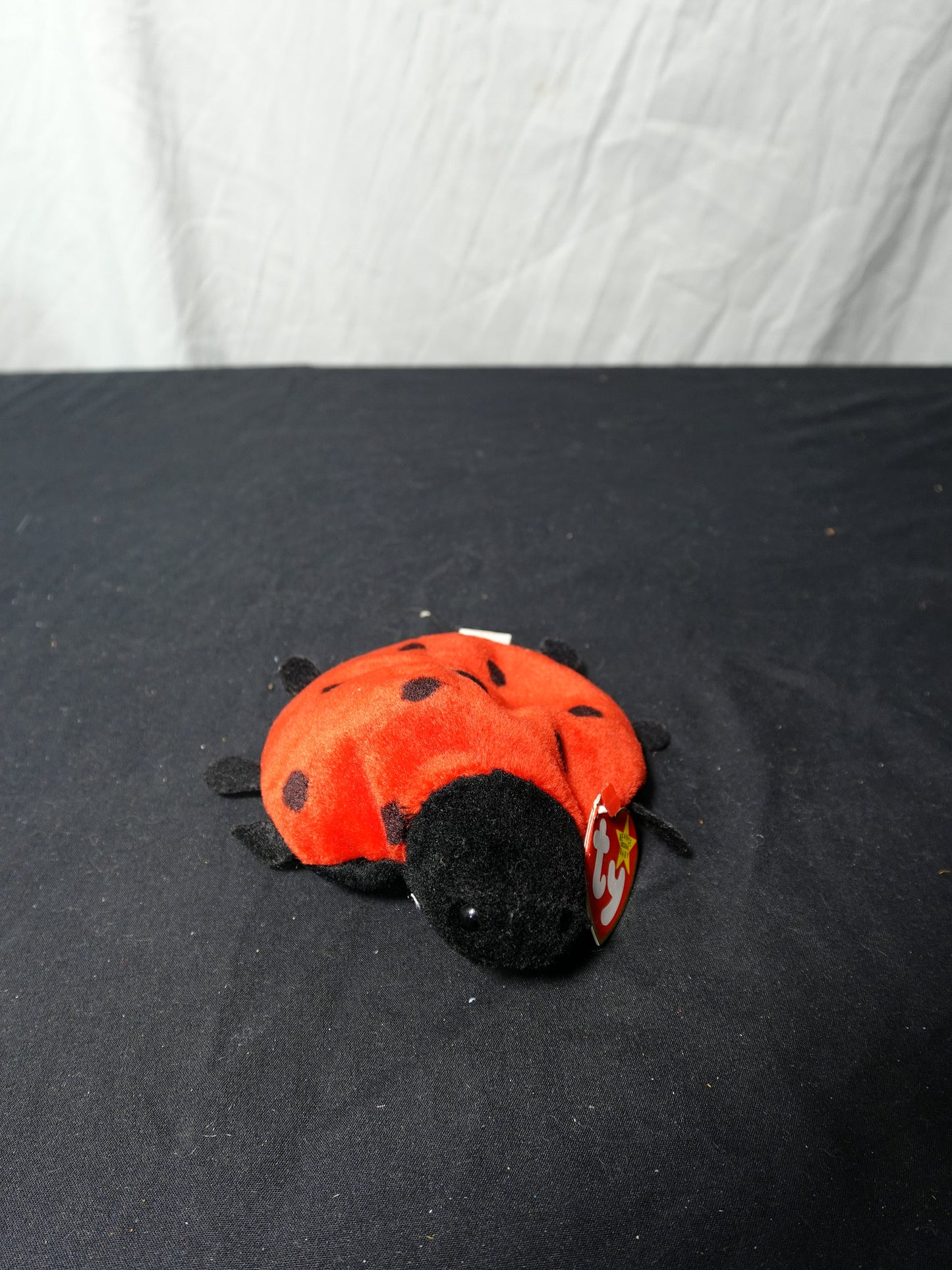 Ty Beanie Babies Lucky Ladybug Plush Toy