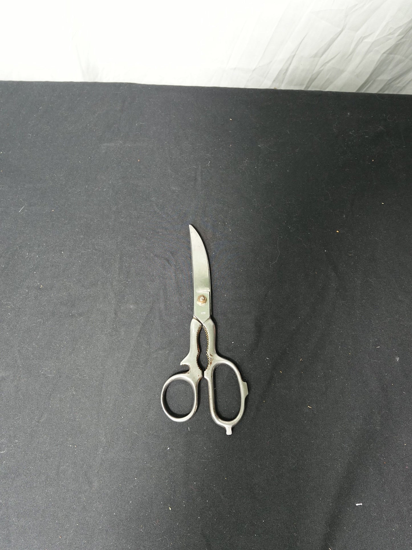 Hoffritz Stainless Steel Scissors