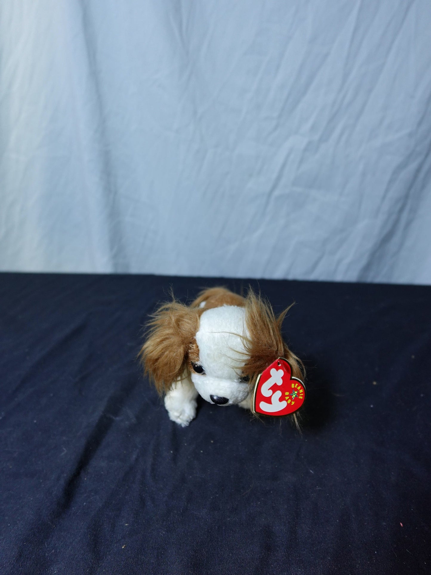 Ty Beanie Baby Regal Dog Plush Toy