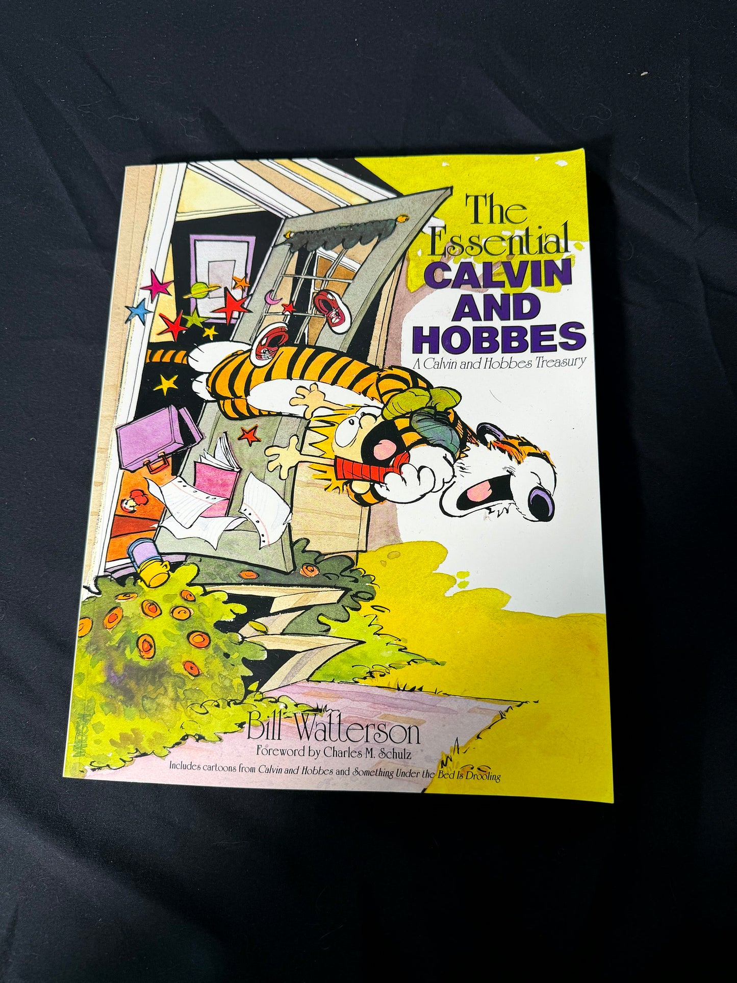Bill Watterson The Essential Calvin and Hobbes Treasury Book