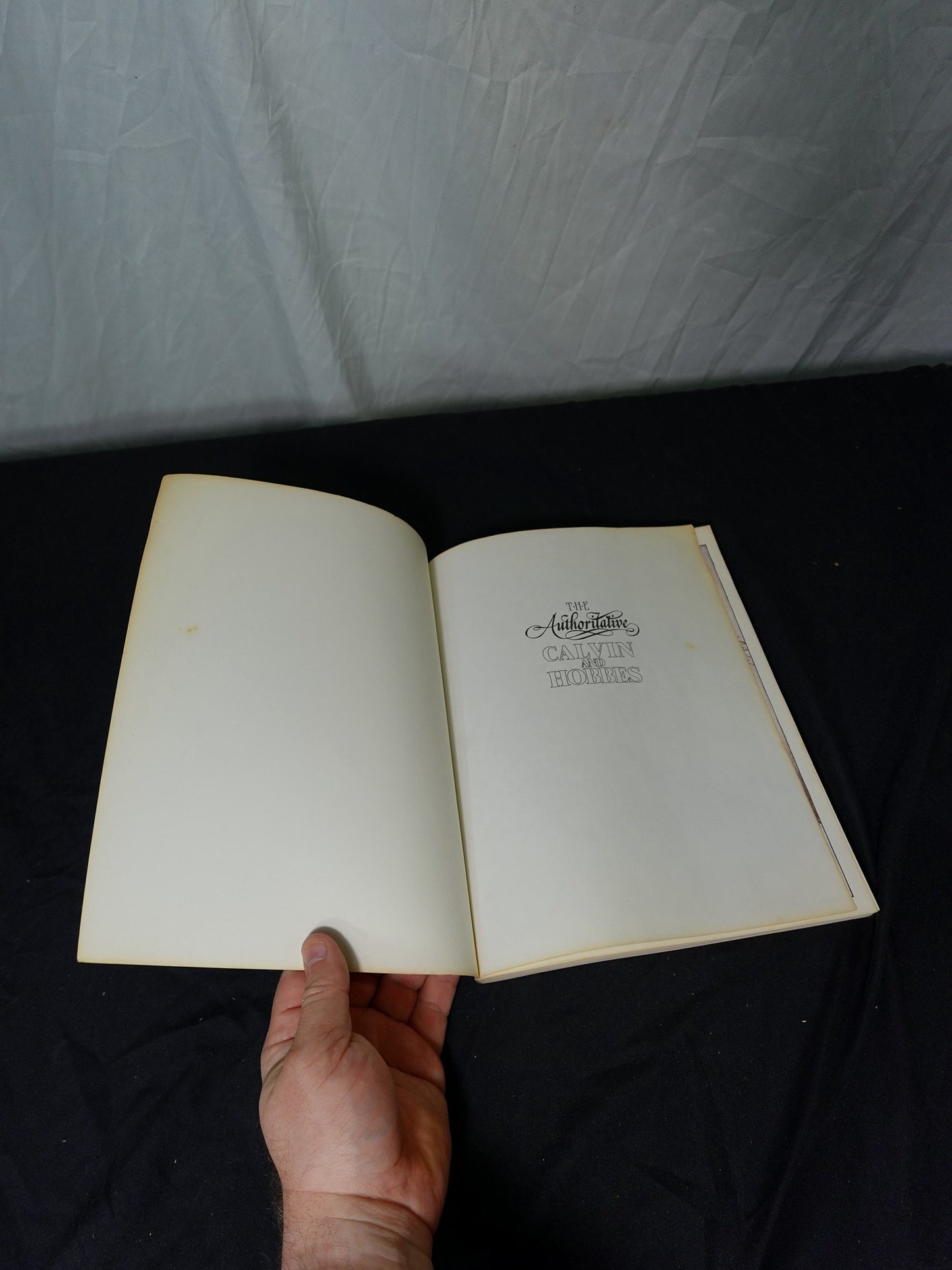 The Authoritative Calvin and Hobbes Bill Watterson 1990 Book