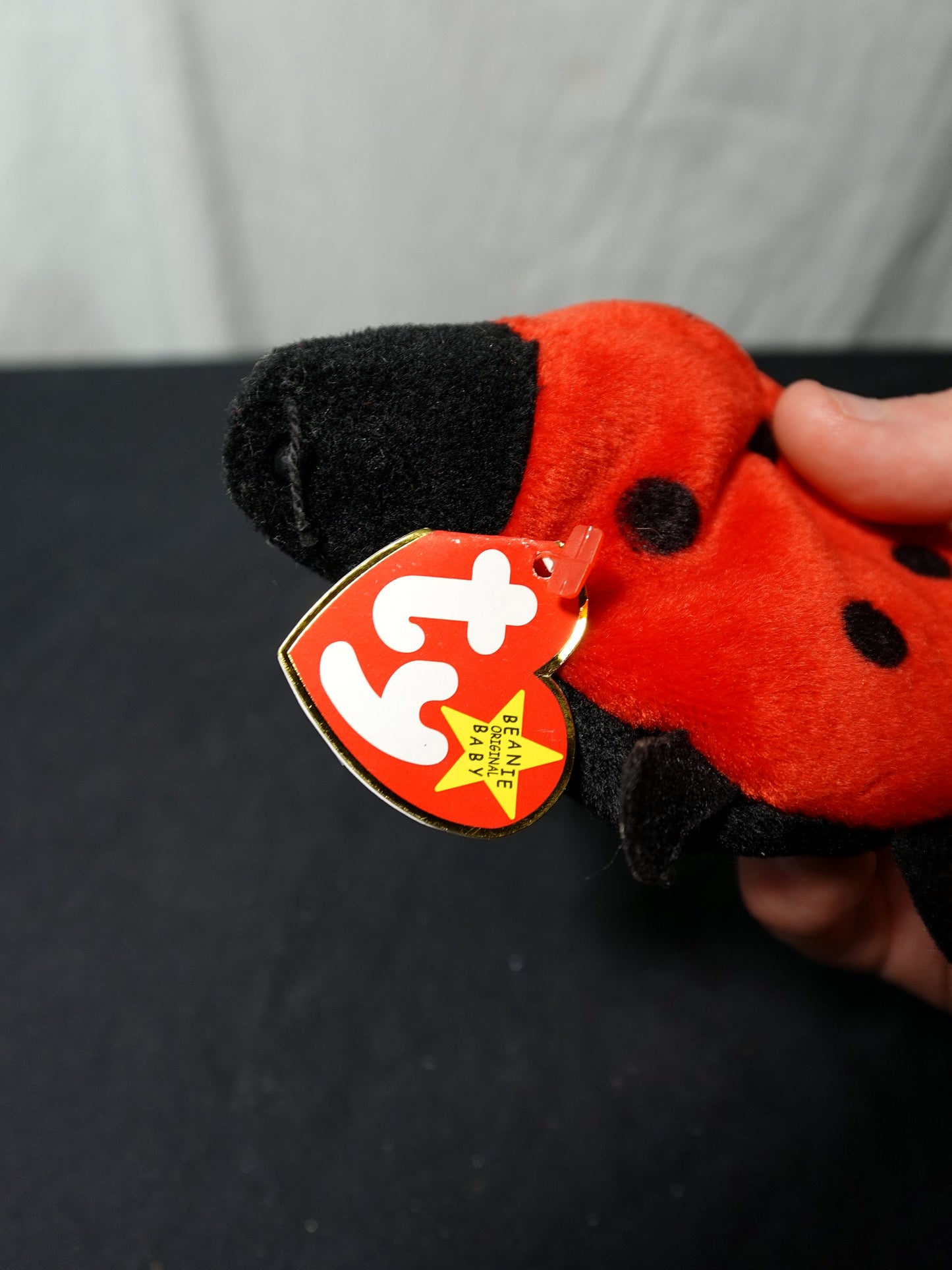 Ty Beanie Babies Lucky Ladybug Plush Toy