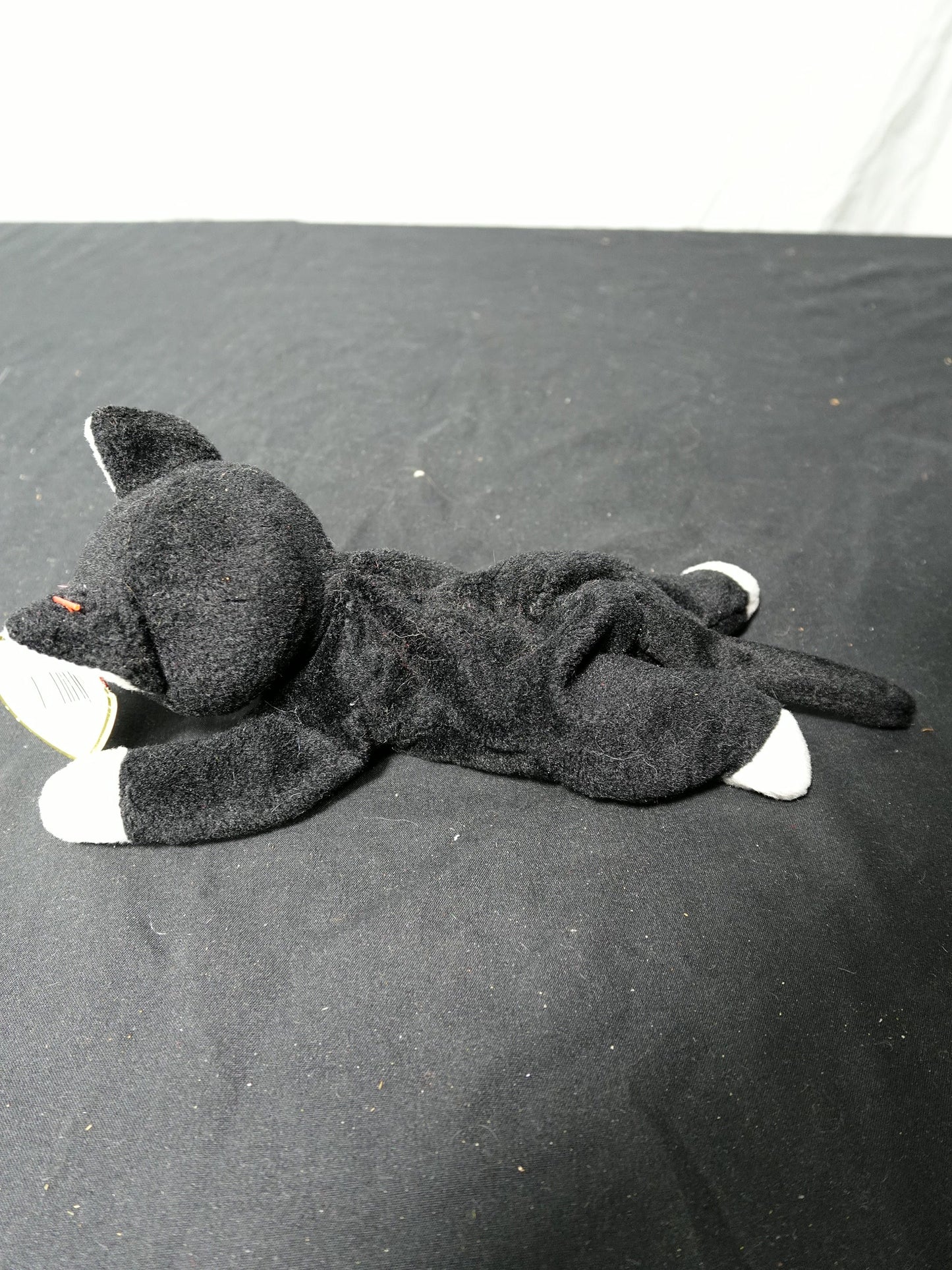 Vintage Ty Beanie Baby ZIP the Black Cat (Canada Tags) 8 Inch MWMTs