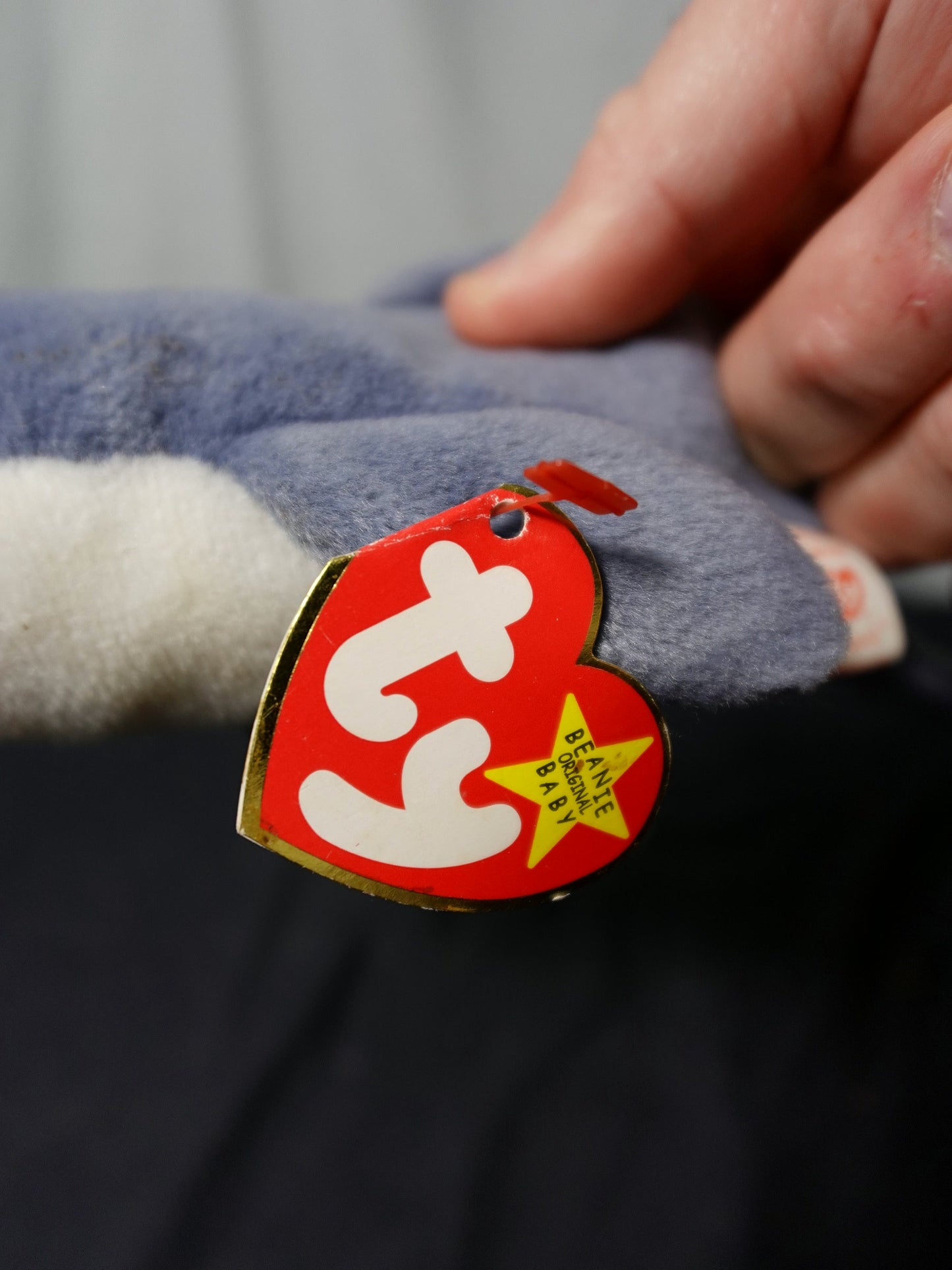 Ty Beanie Babies Crunch Shark Plush Toy