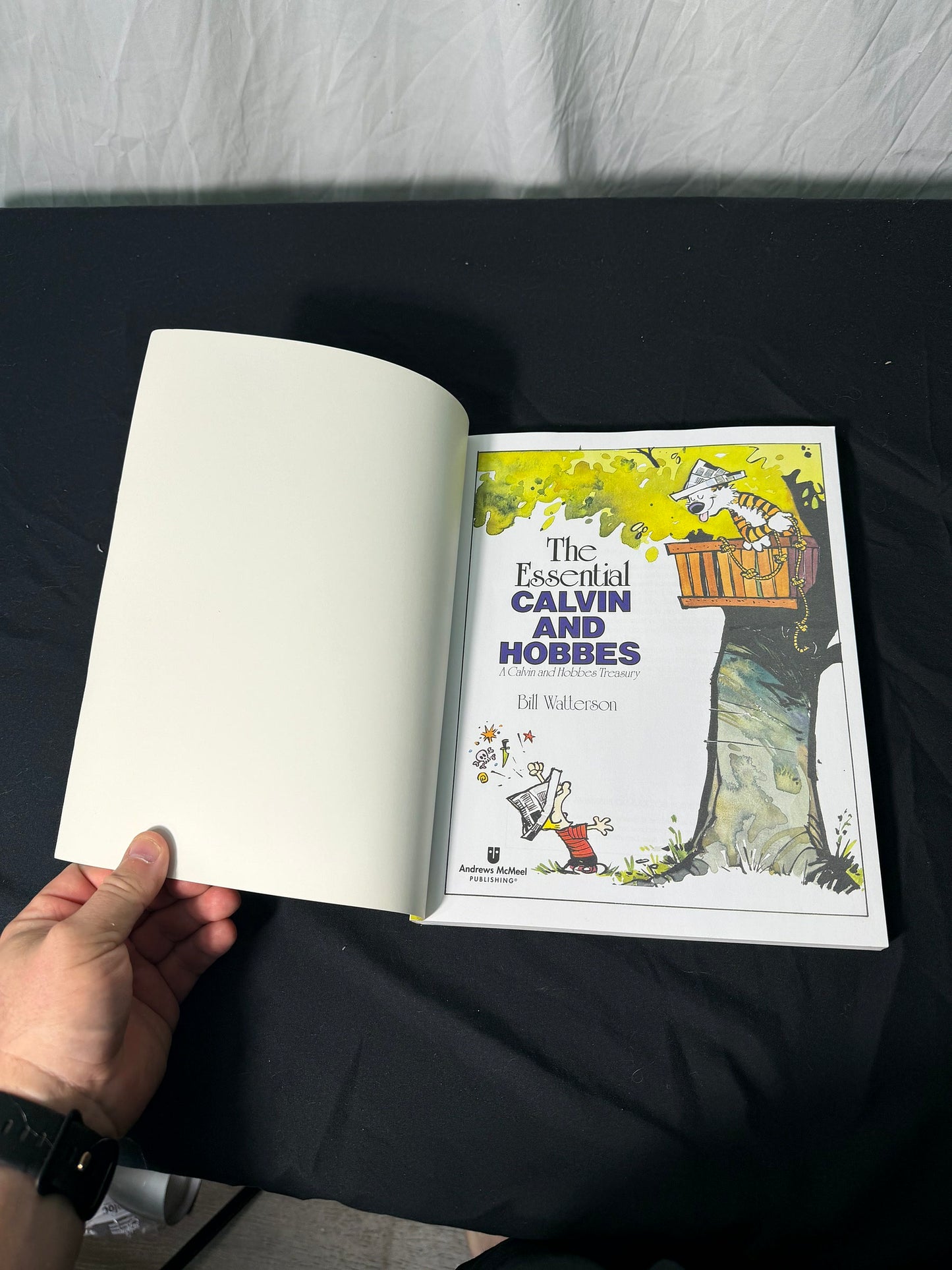 Bill Watterson The Essential Calvin and Hobbes Treasury Book