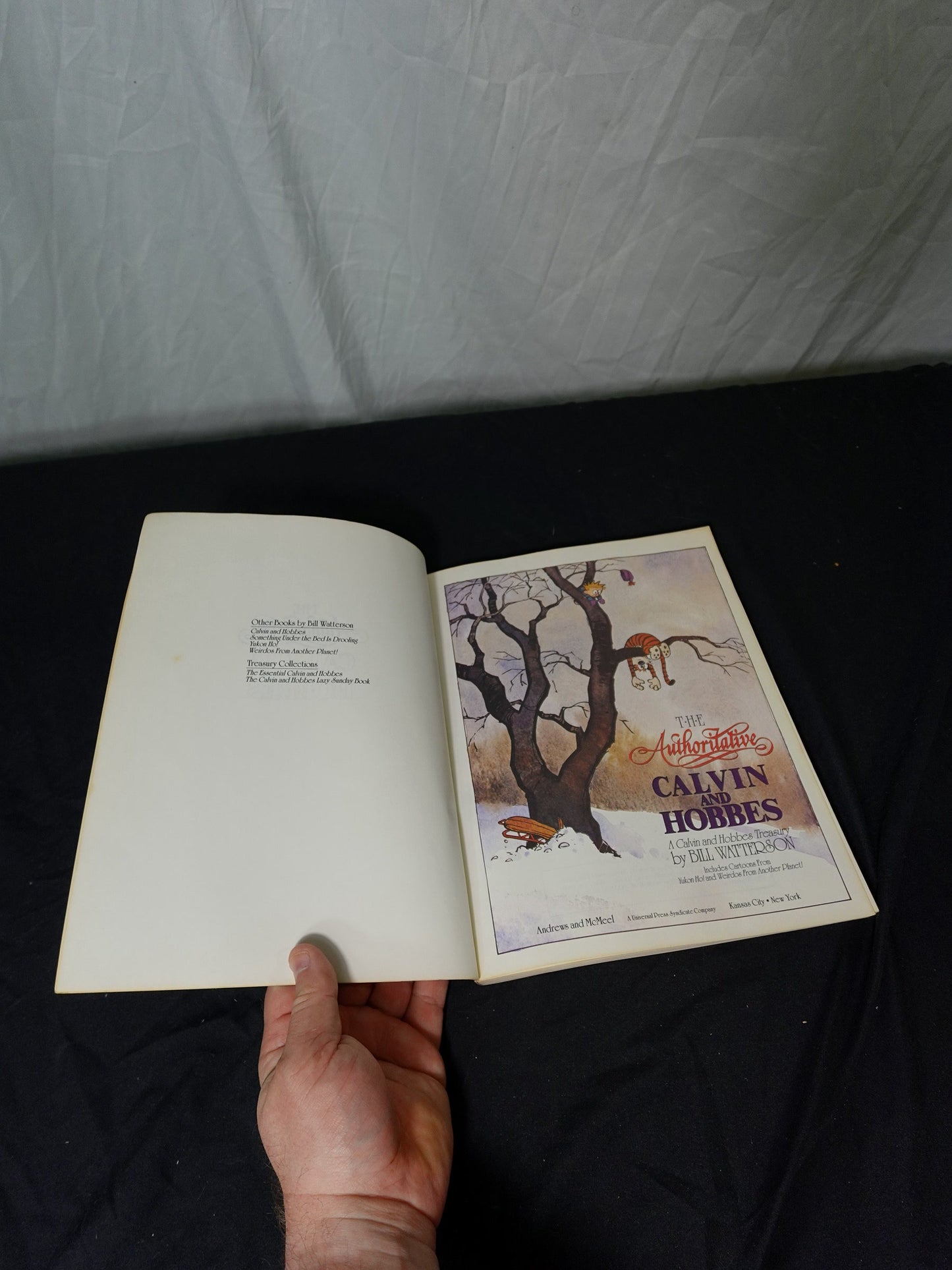 The Authoritative Calvin and Hobbes Bill Watterson 1990 Book