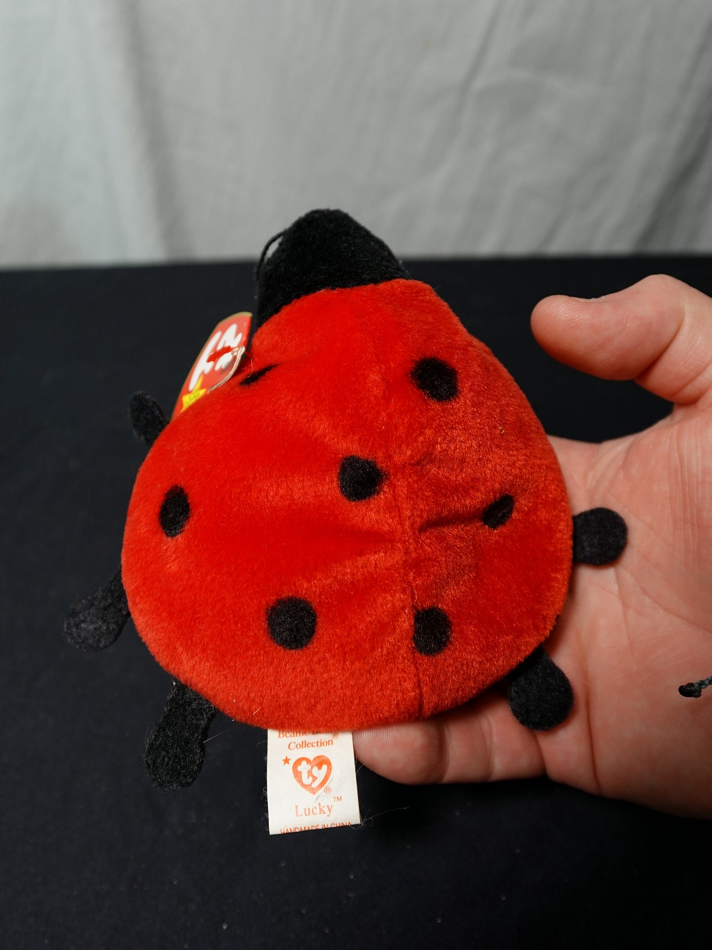 Ty Beanie Babies Lucky Ladybug Plush Toy