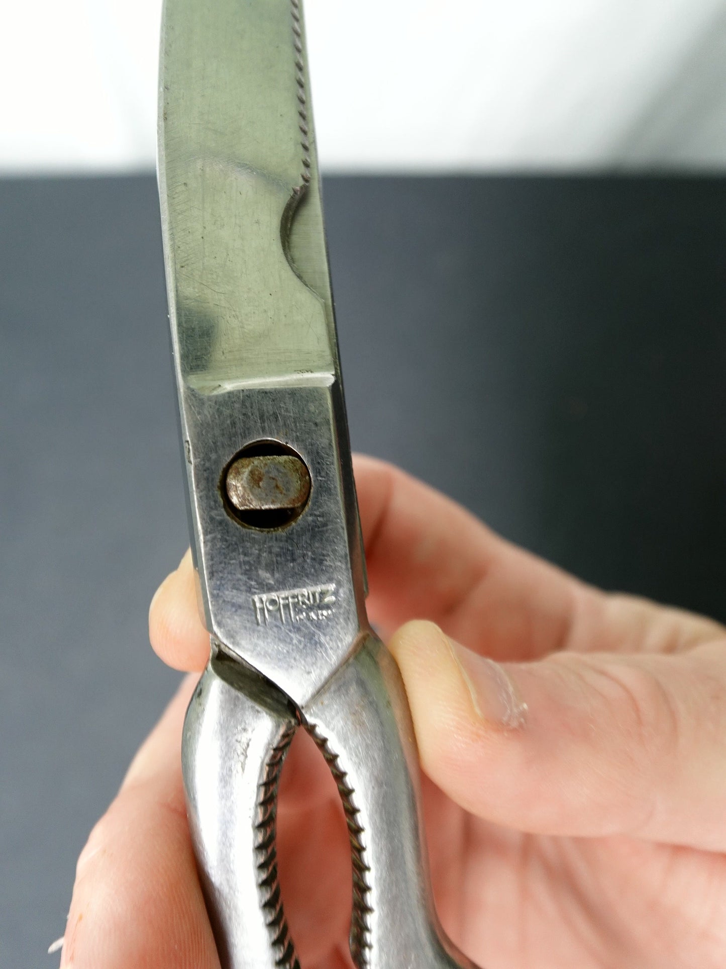 Hoffritz Stainless Steel Scissors
