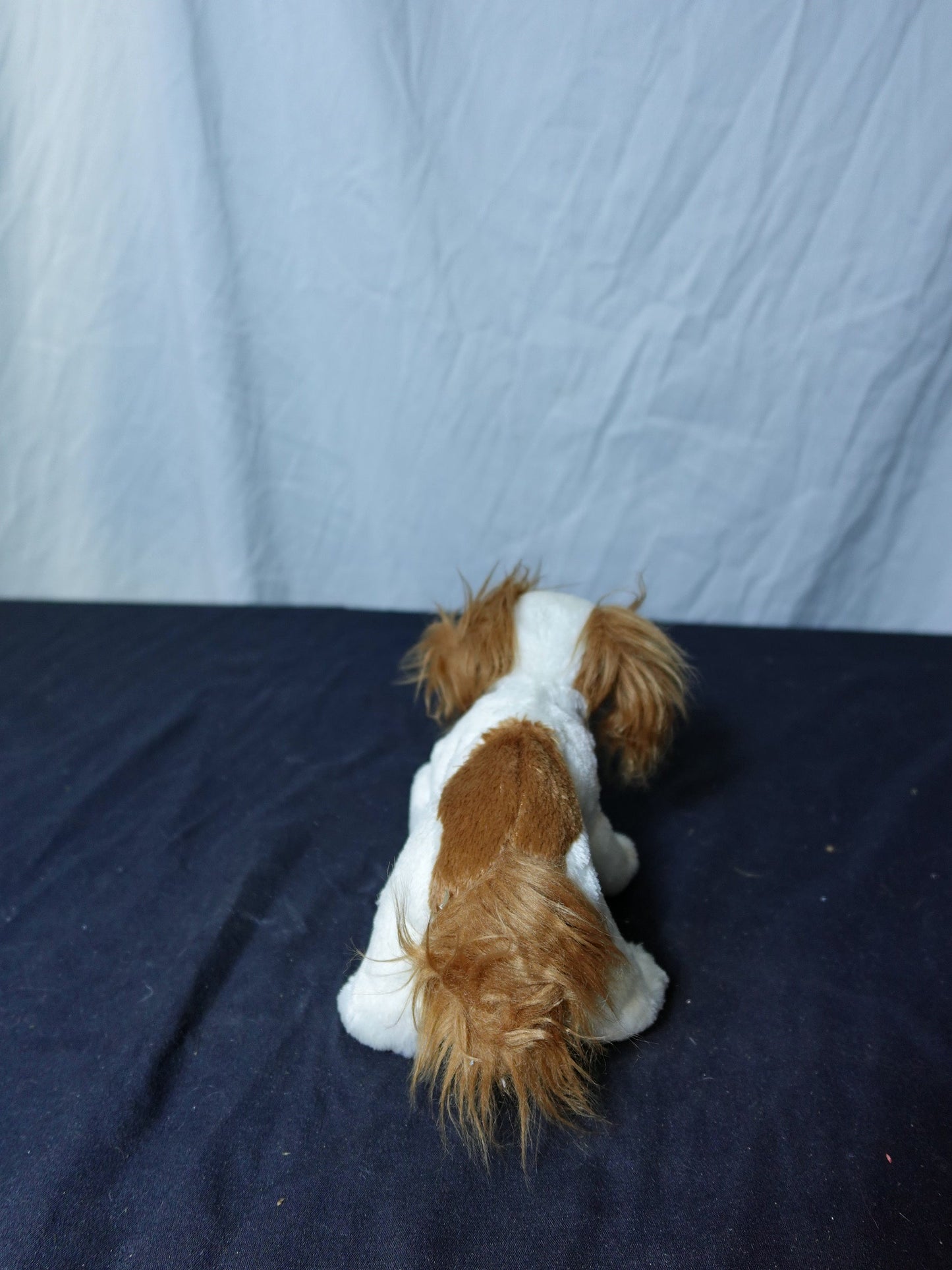 Ty Beanie Baby Regal Dog Plush Toy