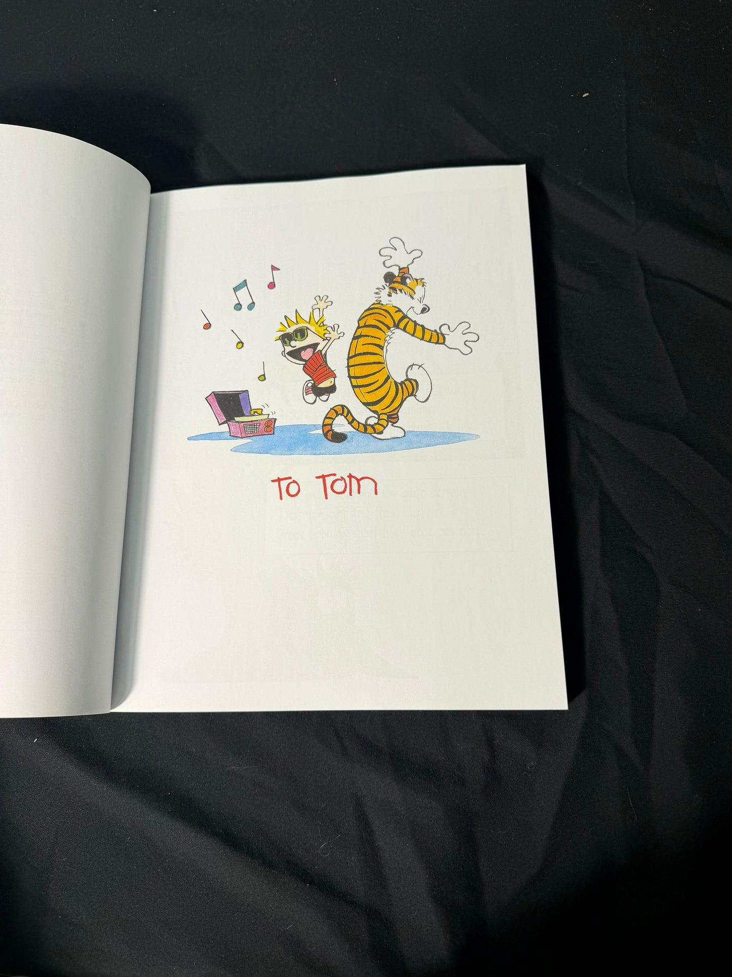 Bill Watterson The Essential Calvin and Hobbes Treasury Book