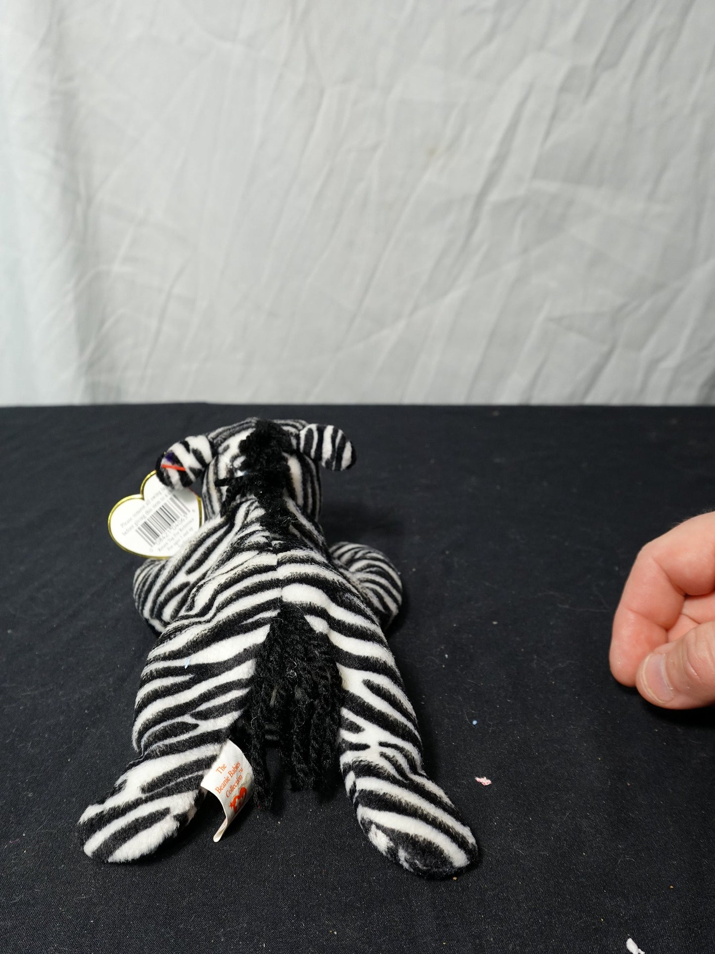 Ty Inc Ziggy Polyester Fiber, PVC Pellets Plush Toy