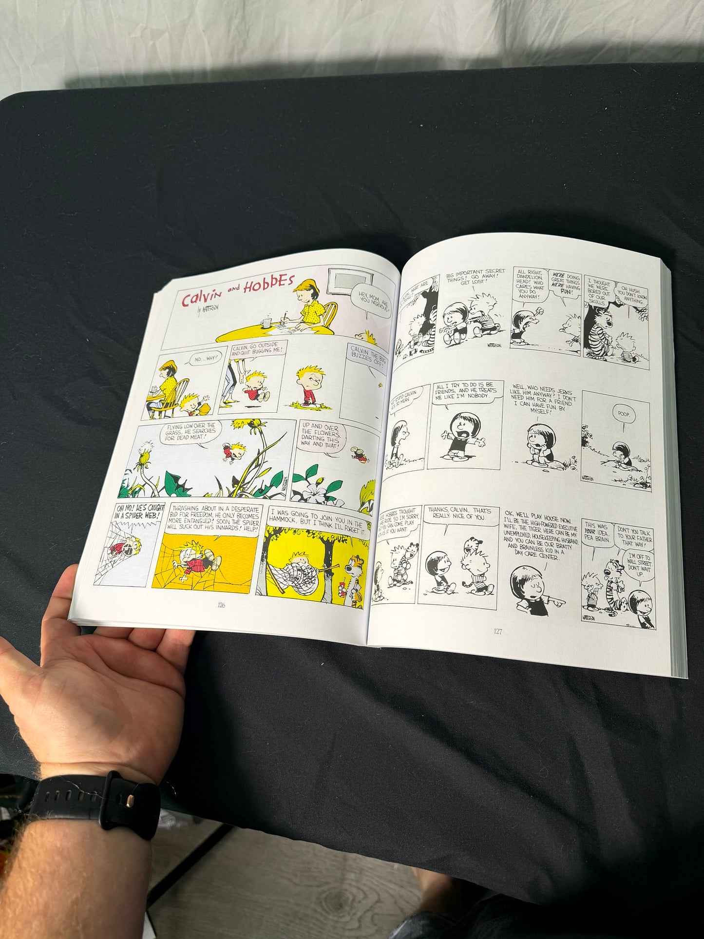 Bill Watterson The Essential Calvin and Hobbes Treasury Book