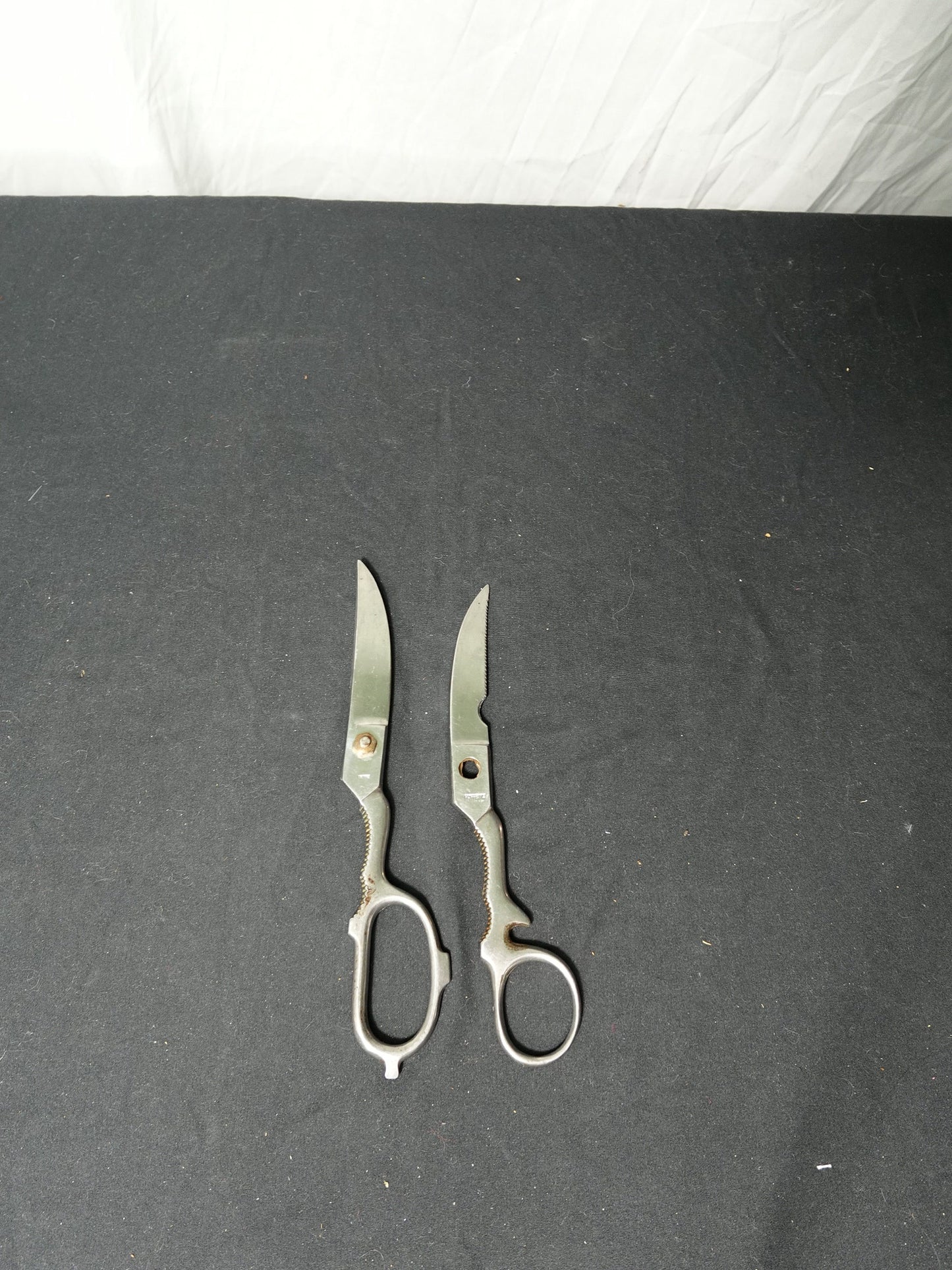 Hoffritz Stainless Steel Scissors