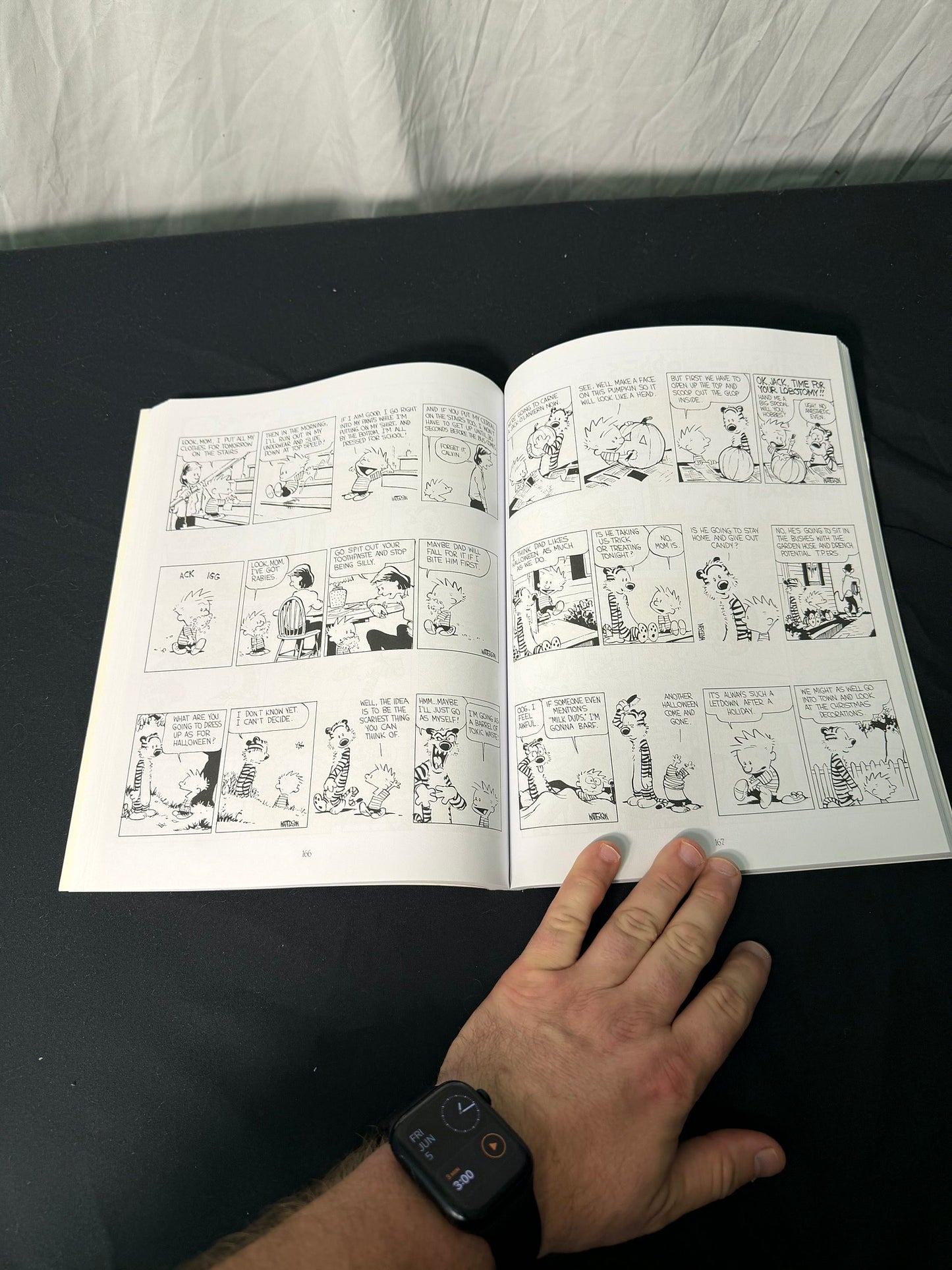 Bill Watterson The Essential Calvin and Hobbes Treasury Book