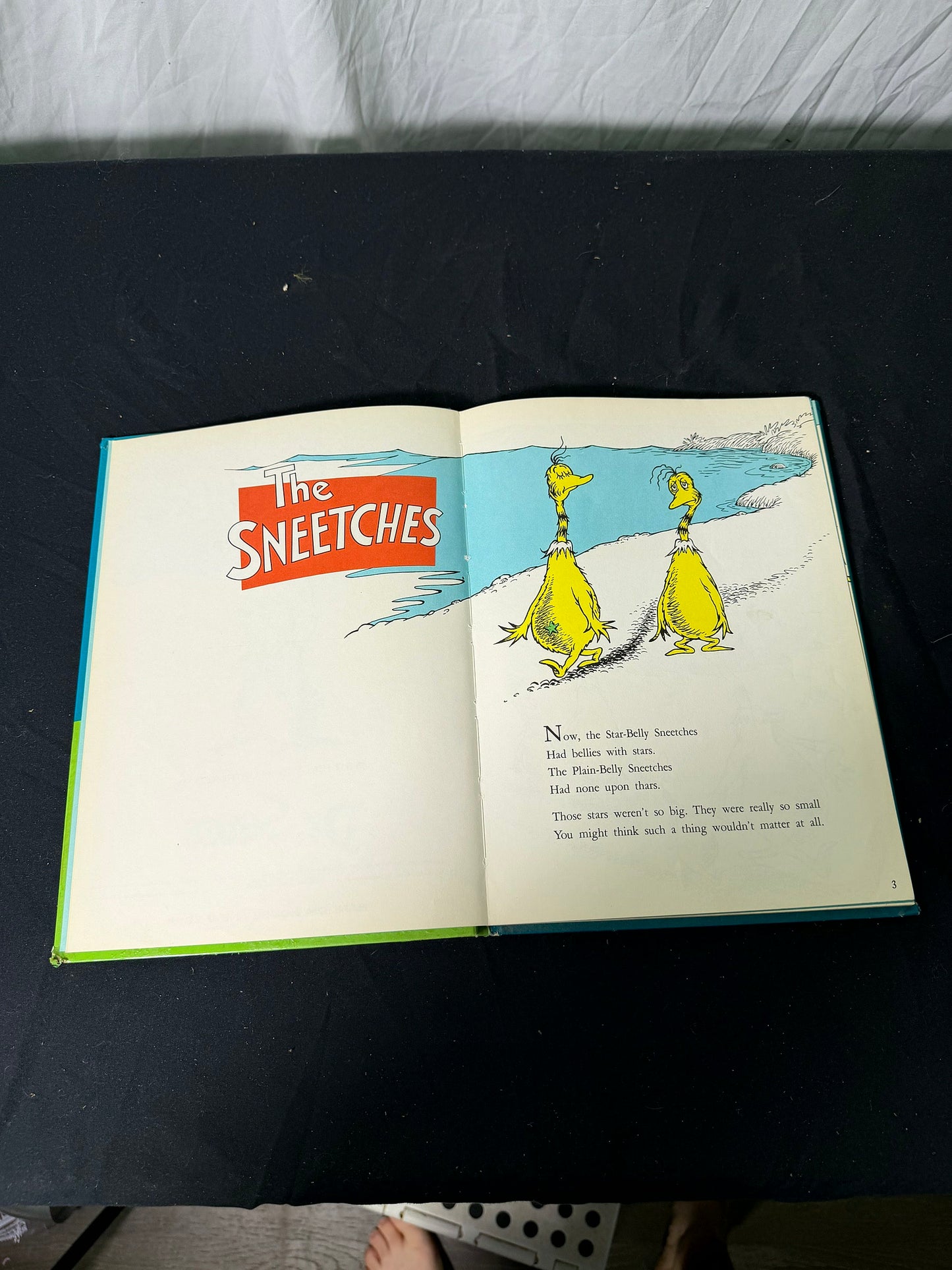 Dr. Seuss The Sneetches and Other Stories First Edition Hardcover Book