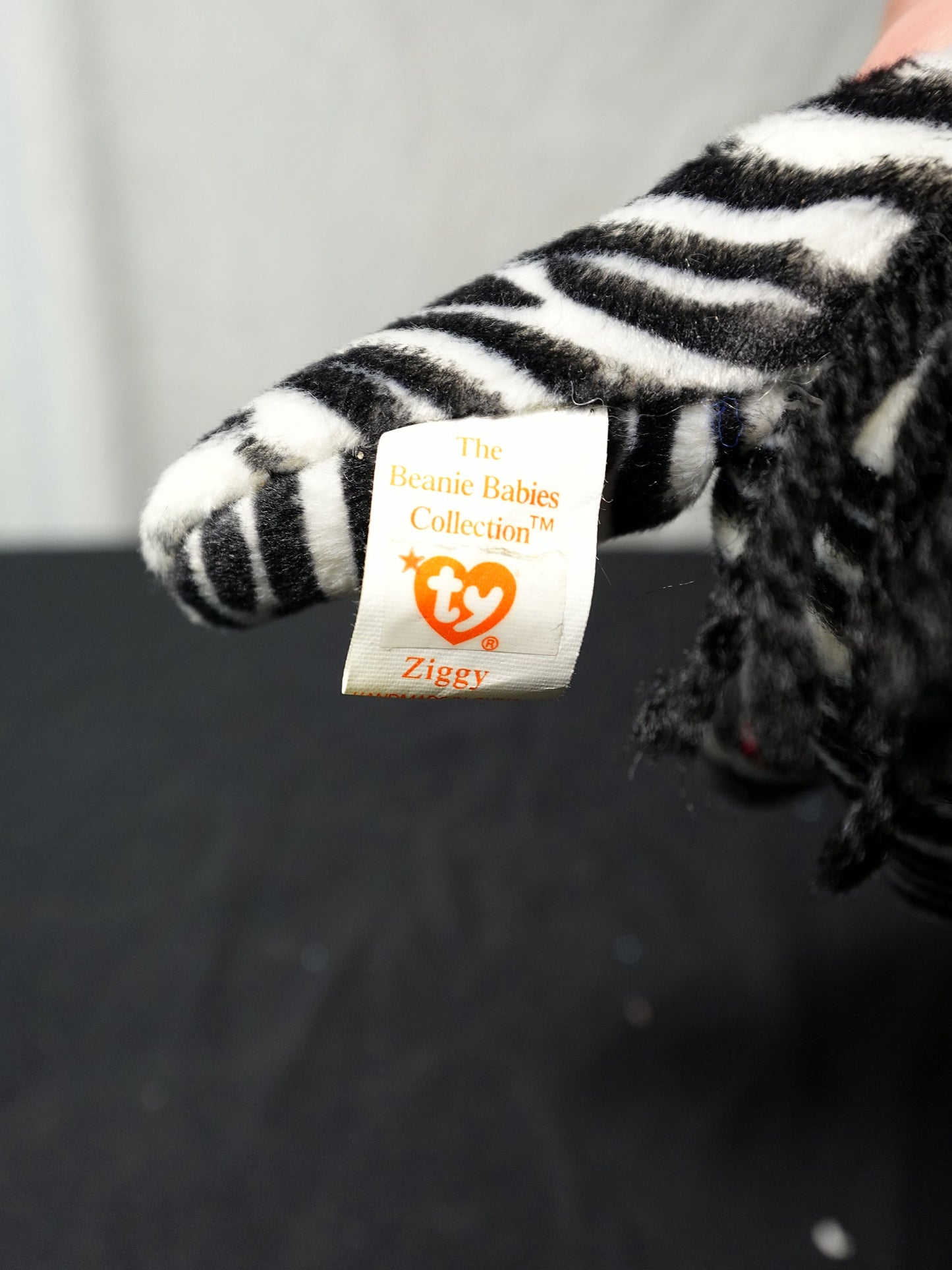 Ty Inc Ziggy Polyester Fiber, PVC Pellets Plush Toy