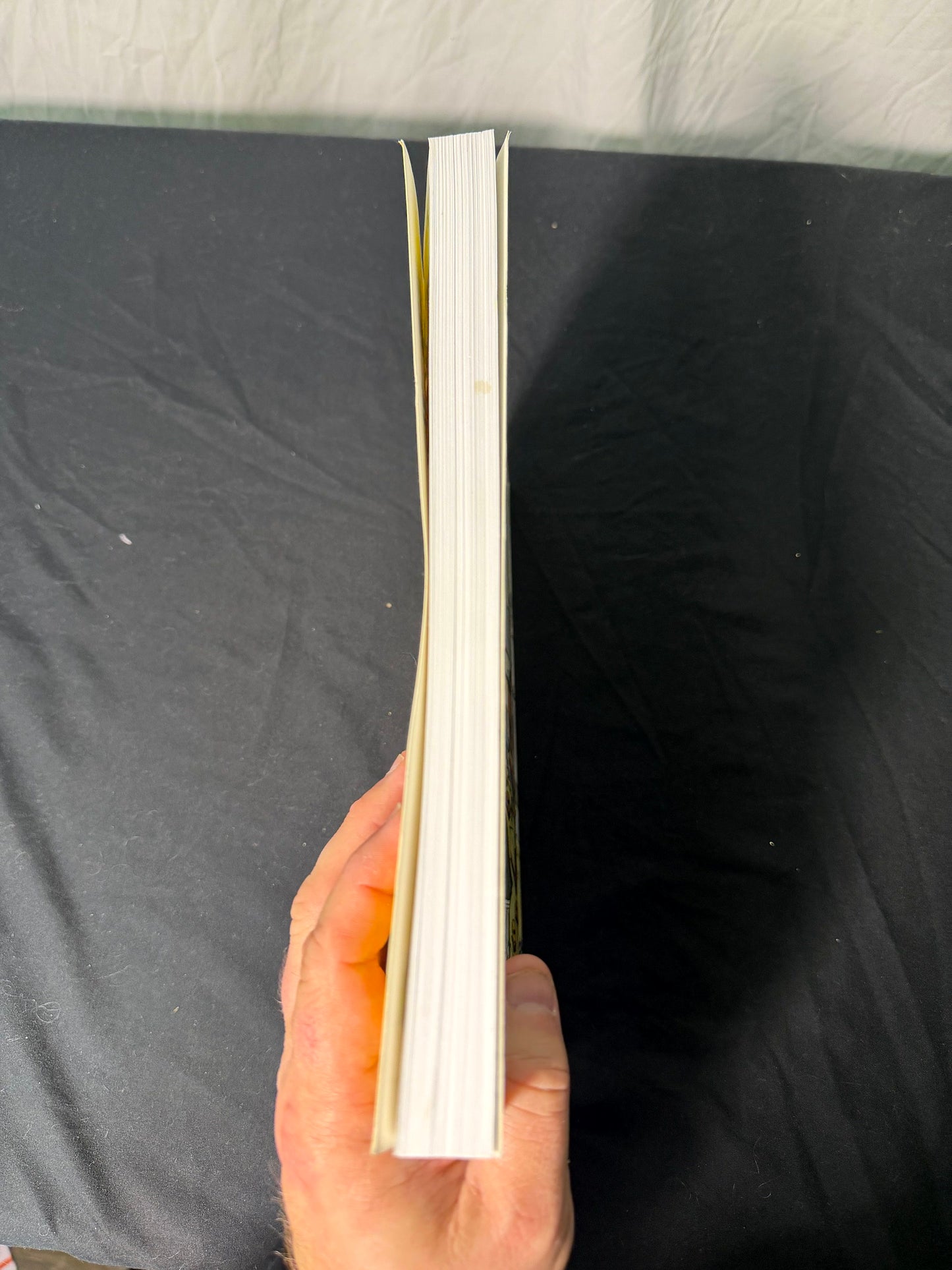 Bill Watterson The Essential Calvin and Hobbes Treasury Book