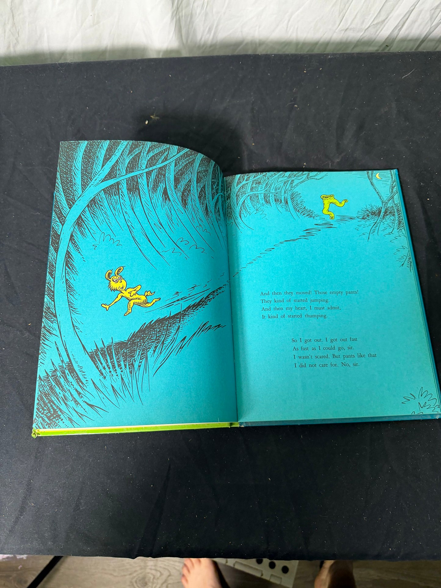 Dr. Seuss The Sneetches and Other Stories First Edition Hardcover Book