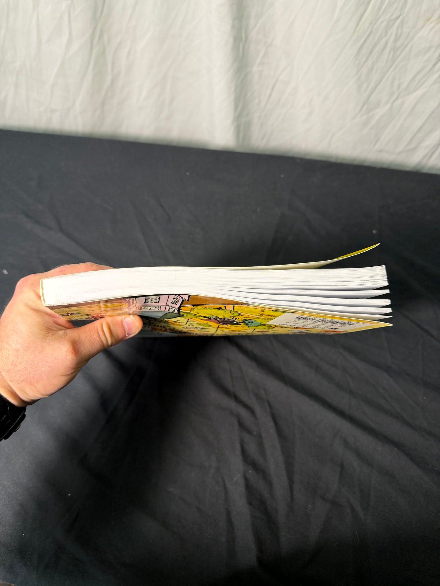 Bill Watterson The Essential Calvin and Hobbes Treasury Book