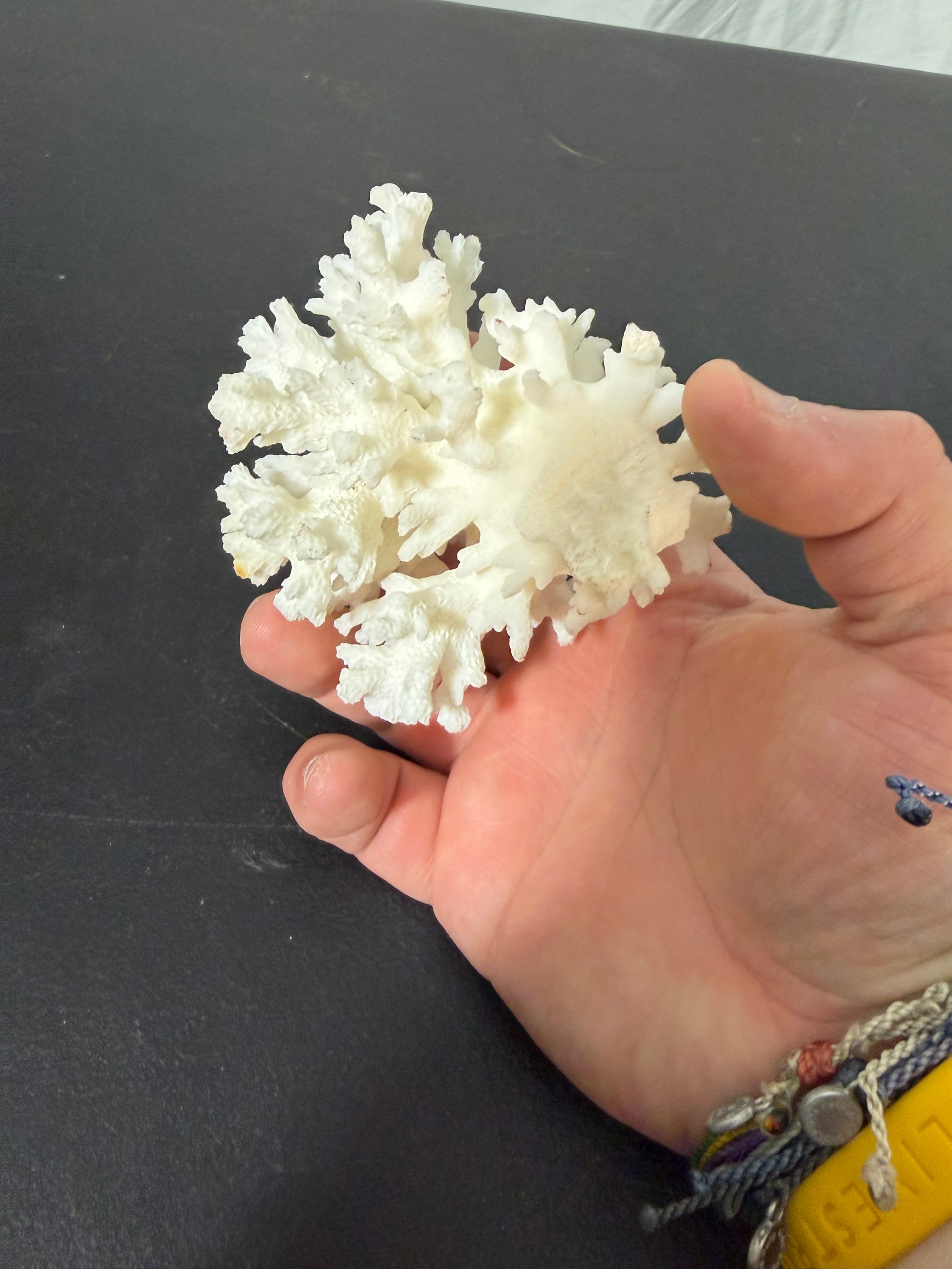 Natural White Coral Specimen for Home Decoration - photo 4