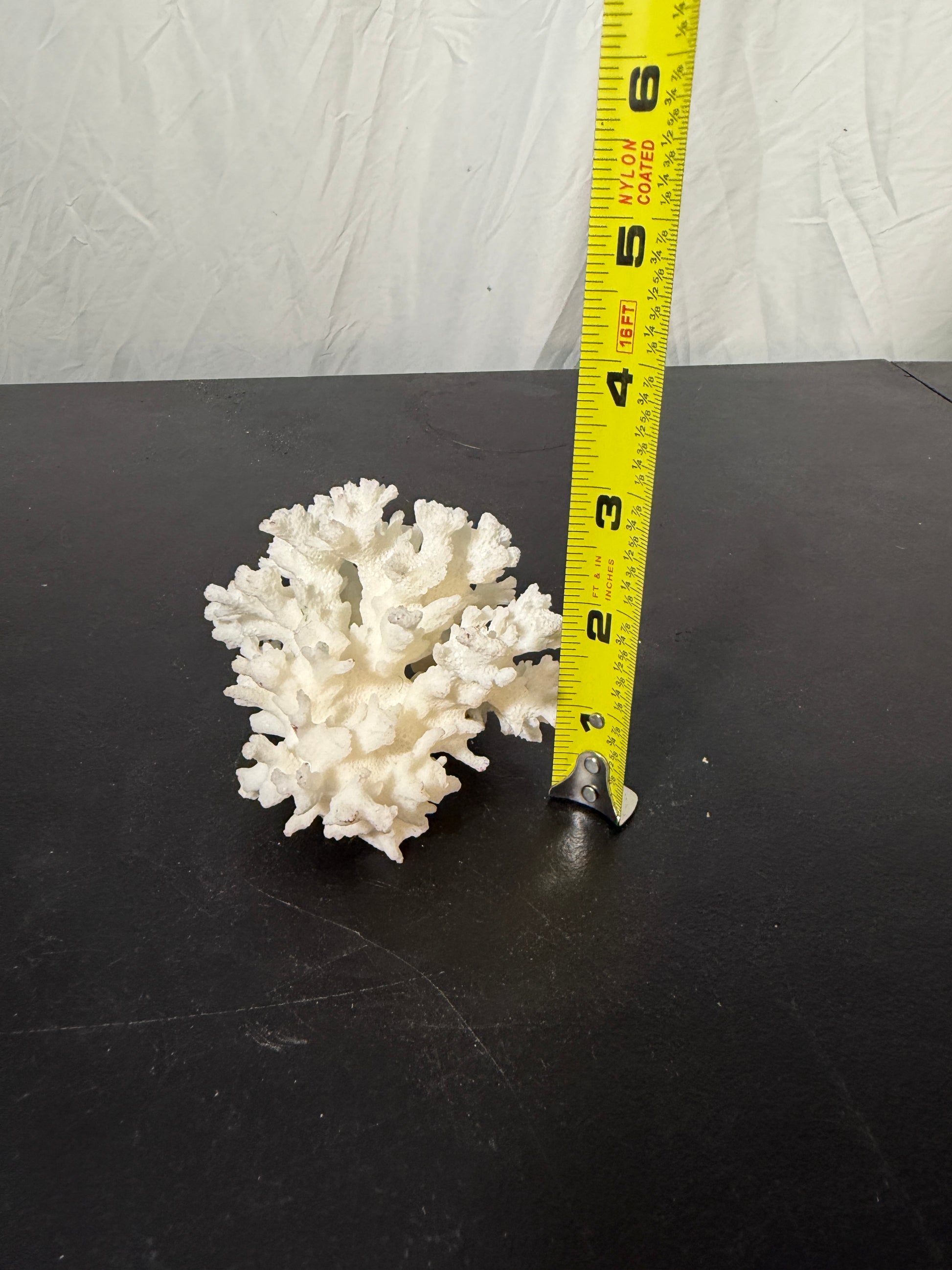 Natural White Coral Specimen for Home Decoration - photo 5