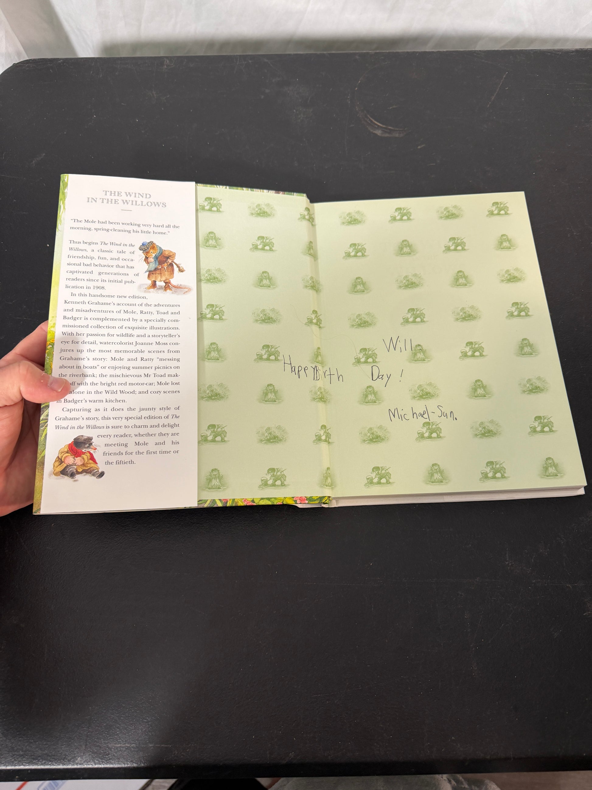 Kenneth Grahame The Wind in the Willows This edition was printed for AMS. Book - photo 2