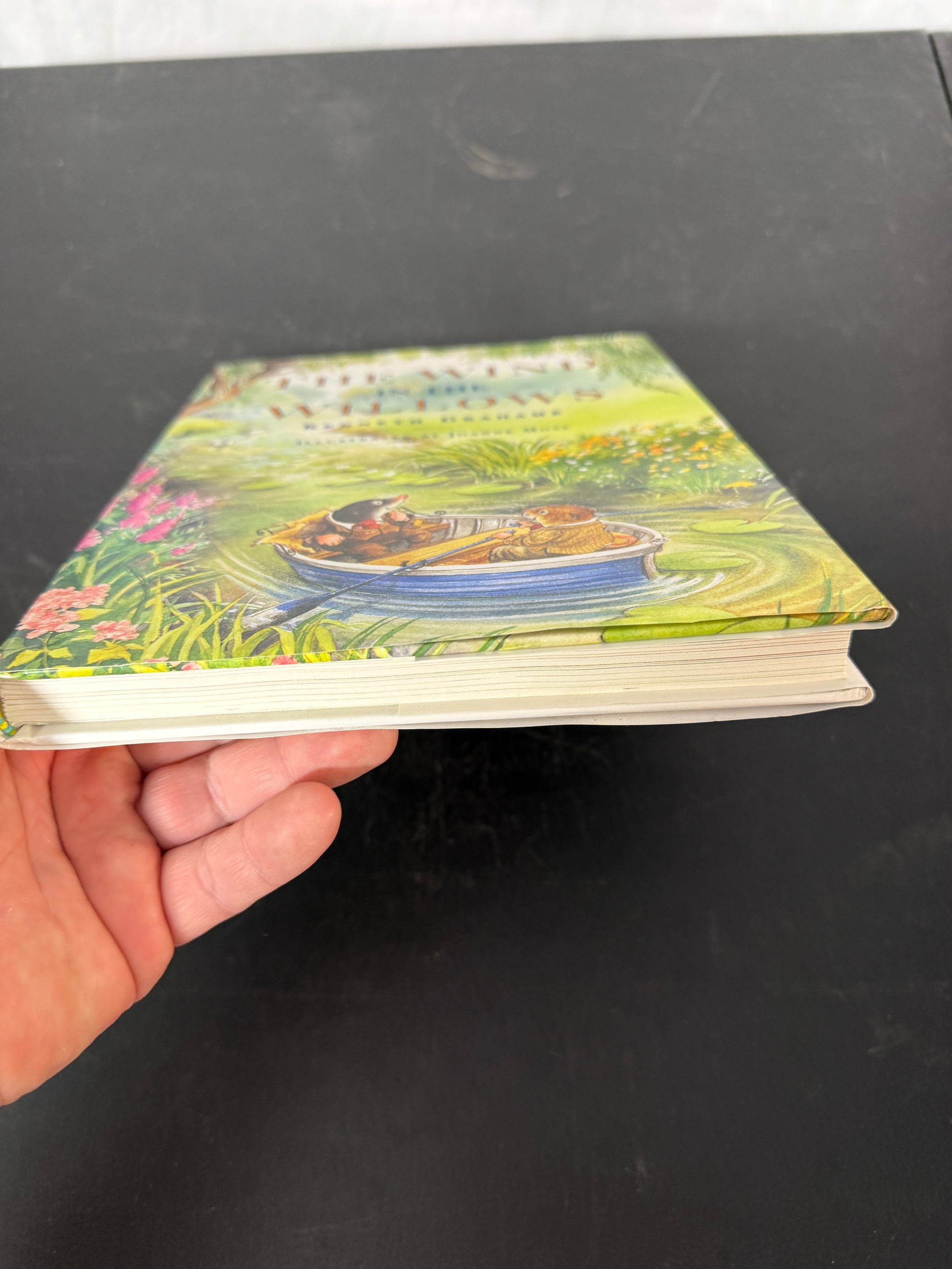 Kenneth Grahame The Wind in the Willows This edition was printed for AMS. Book - photo 8