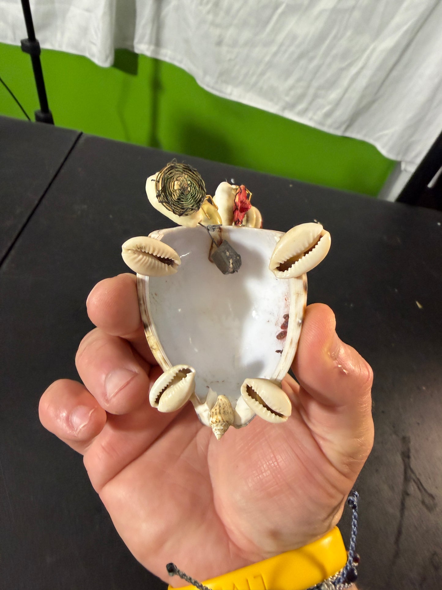 Turles Seashell Figurine With Bobbleheads - Decorative Seashells - photo 5