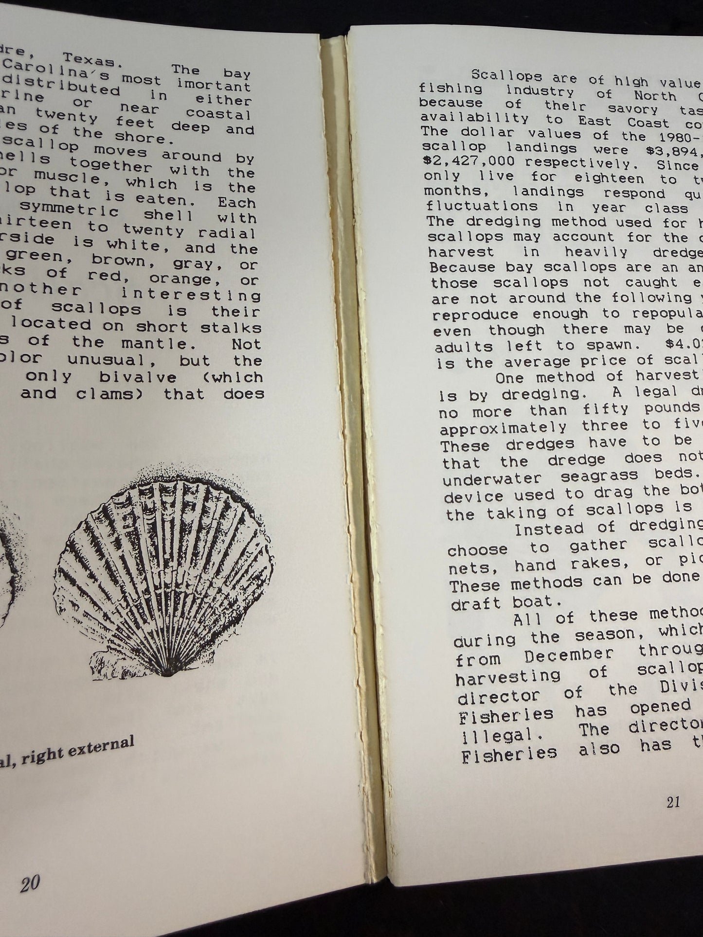 D. Taylor Seafood for Thought Book - photo 3