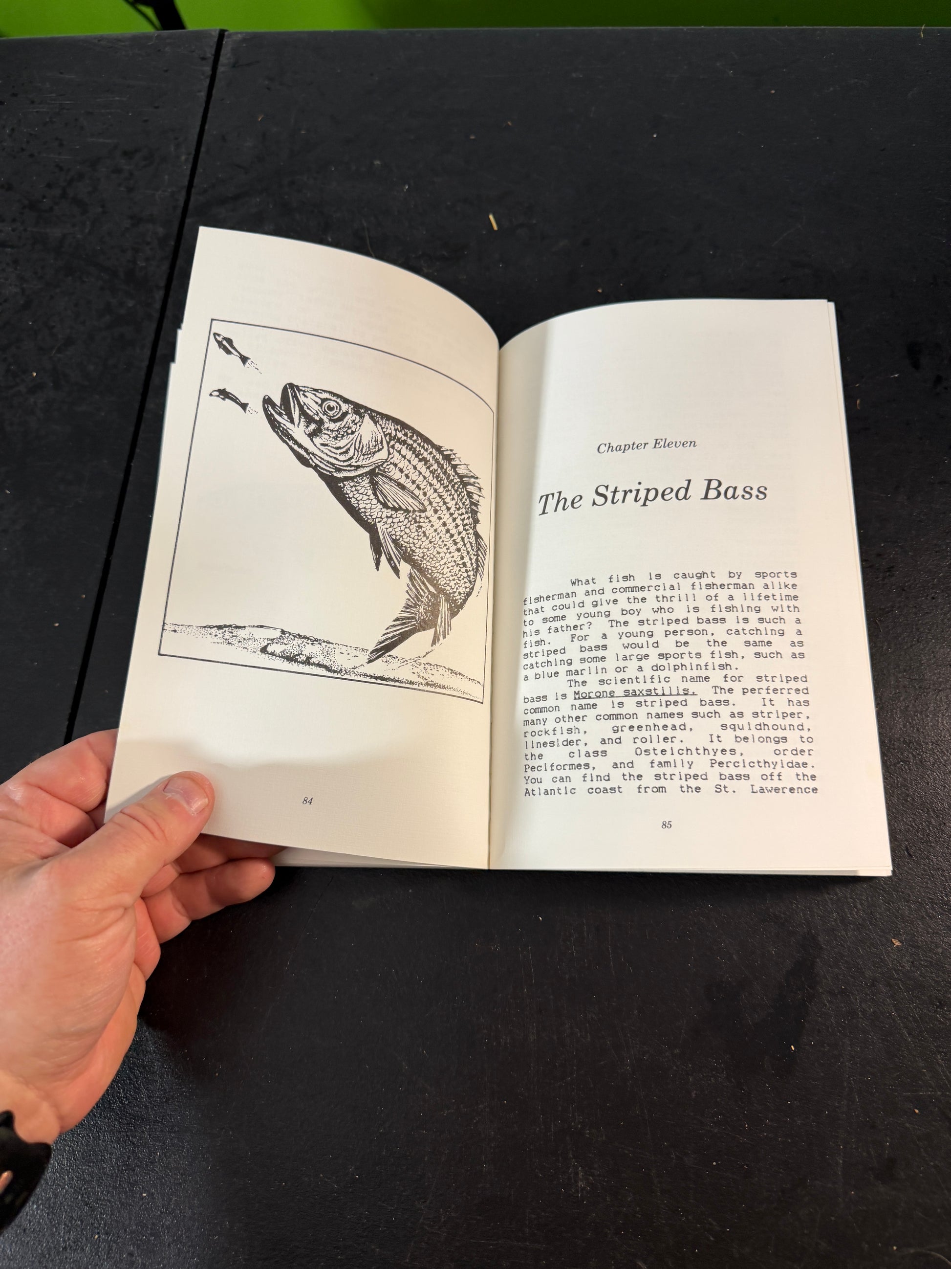D. Taylor Seafood for Thought Book - photo 6