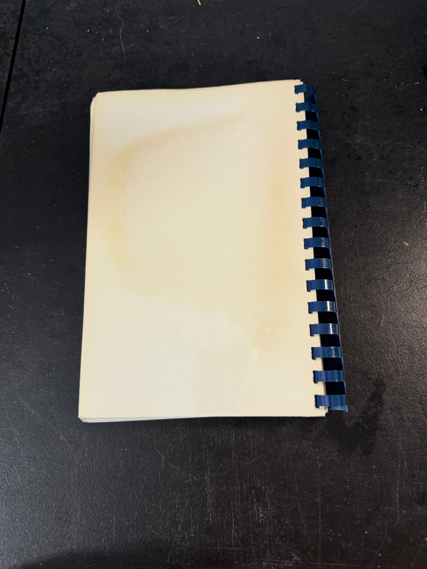 Bone Appetit Miller Orthopaedic Clinic Cookbook - photo 10