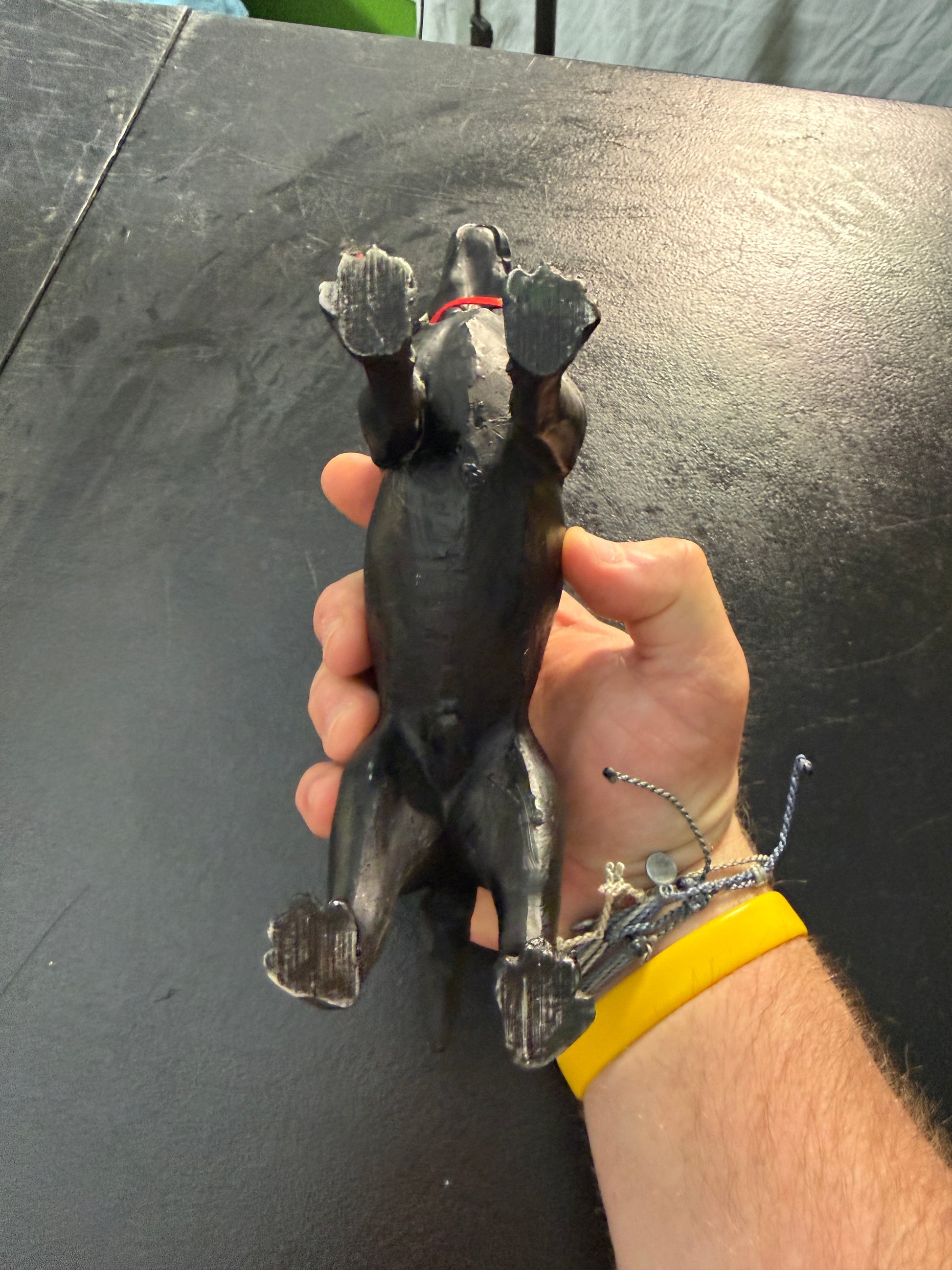 Franz Bergmann Vienna Austria Black Dachshund Figurine - MDP-00481