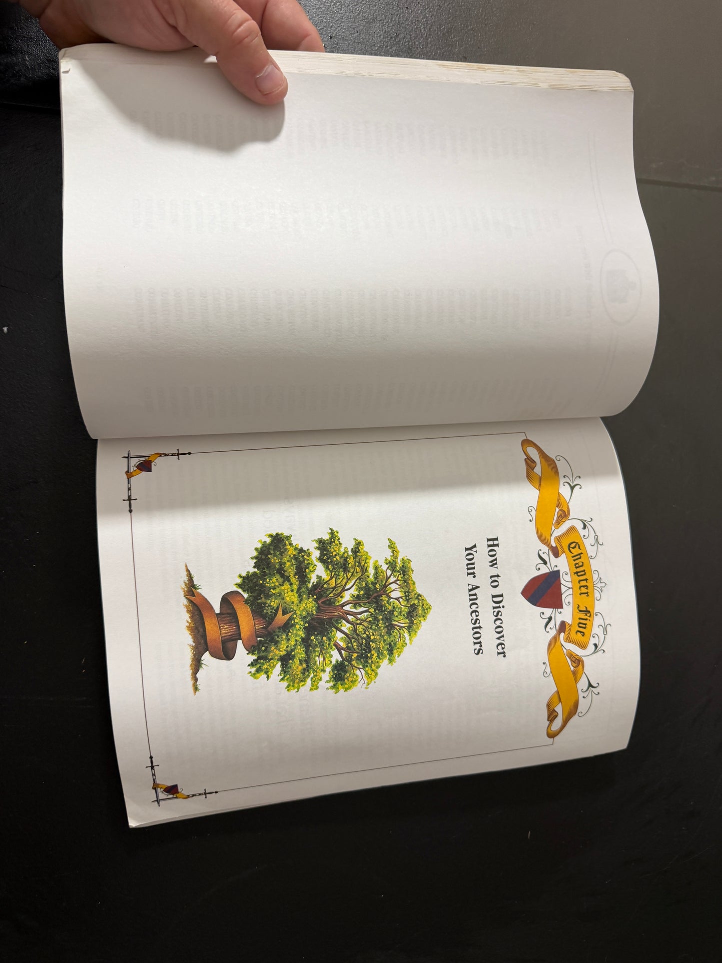 The New World Book Of Condons Book - MDP-00487
