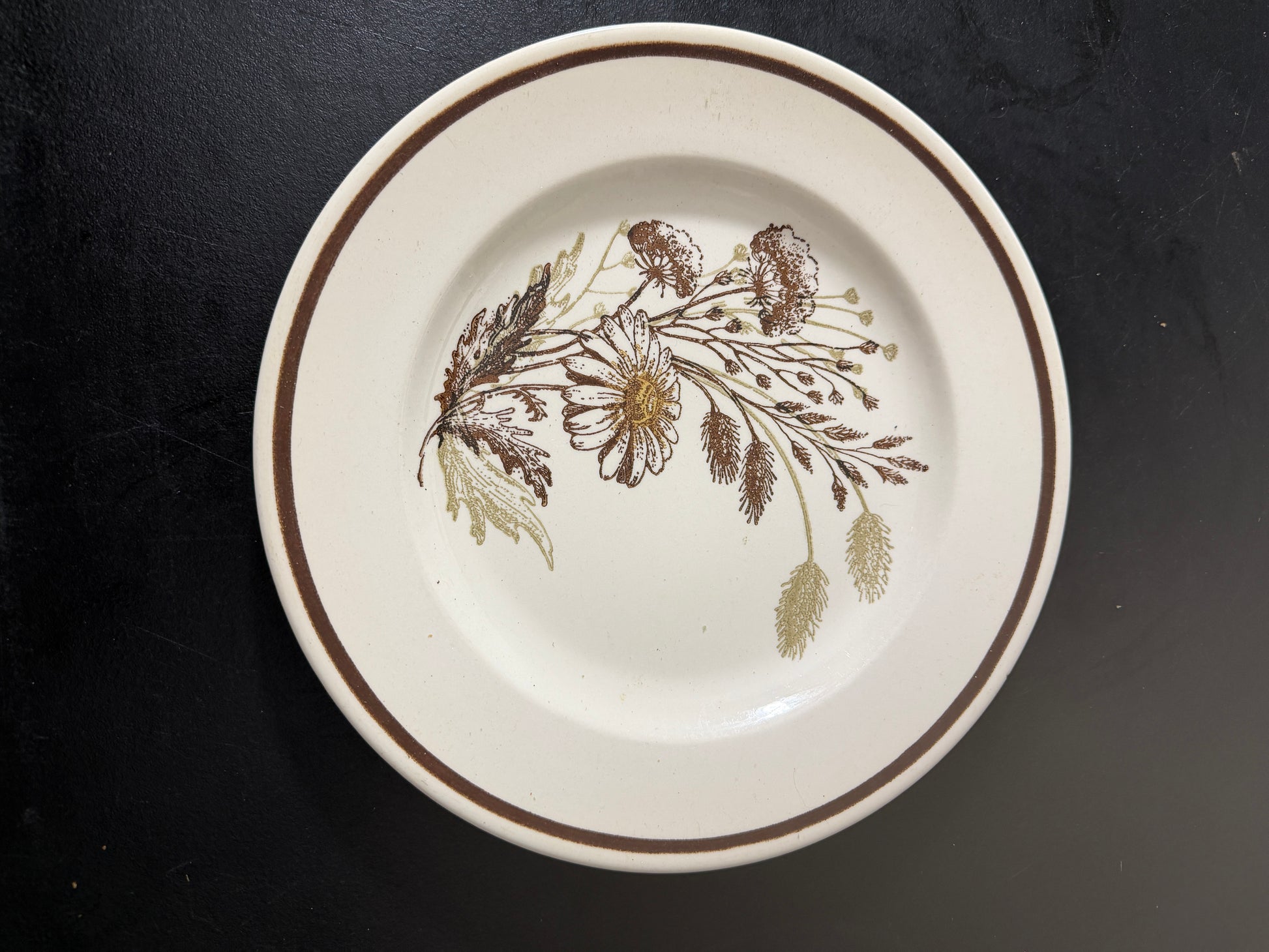 Royal China Co. Americana Autumn Mist Ceramic Plate 10.5 inches - MDP-00490