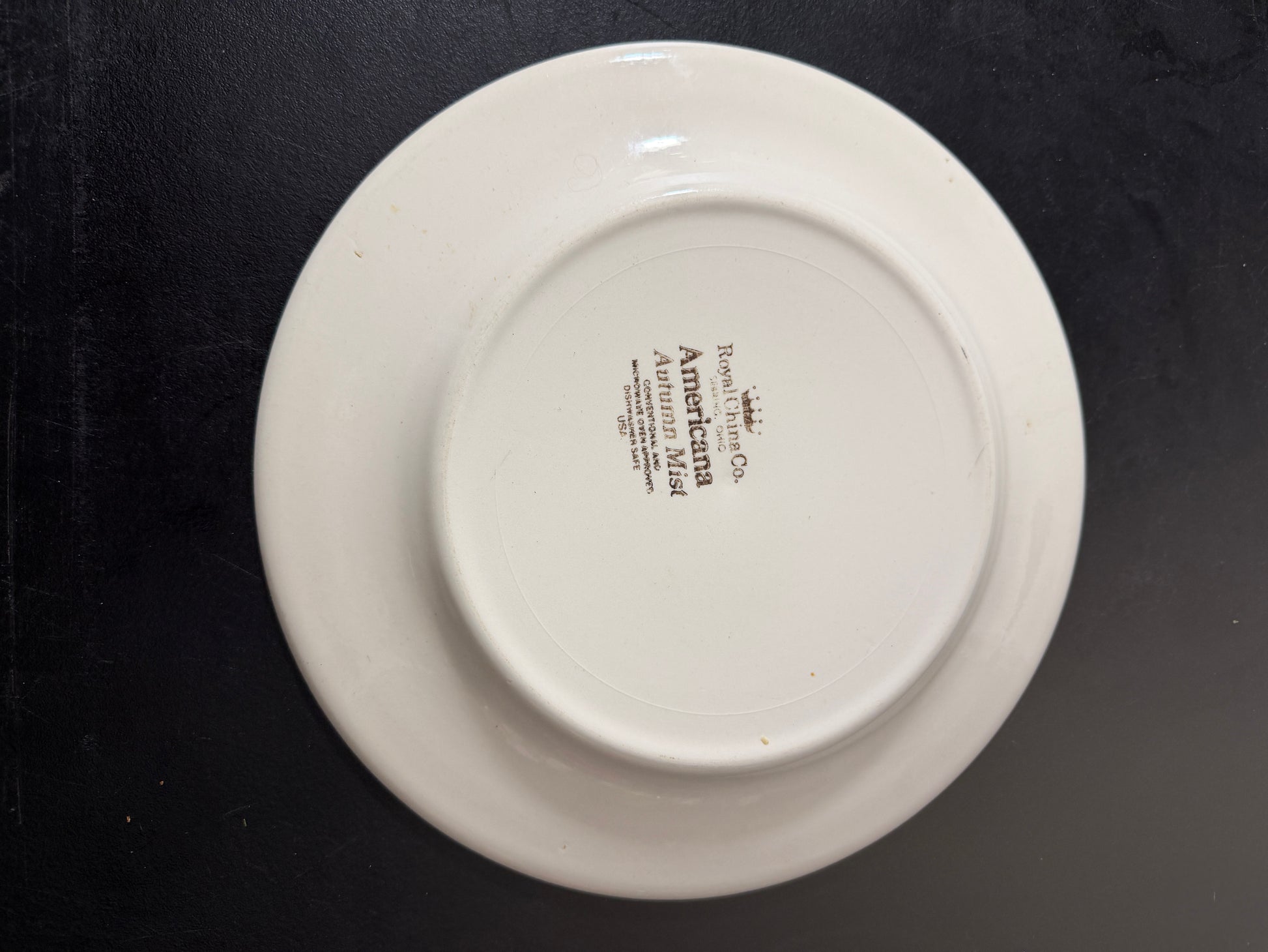 Royal China Co. Americana Autumn Mist Ceramic Plate 10.5 inches - MDP-00490