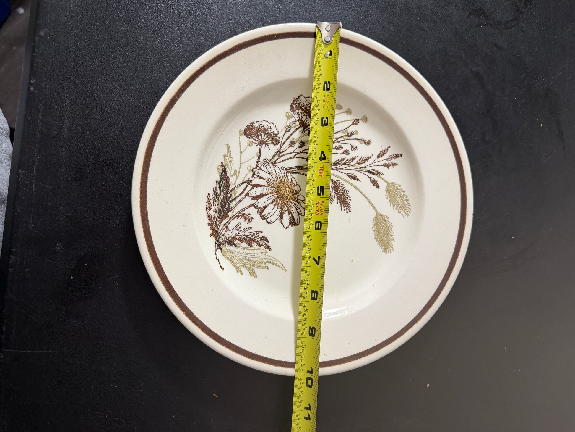 Royal China Co. Americana Autumn Mist Ceramic Plate 10.5 inches - MDP-00490