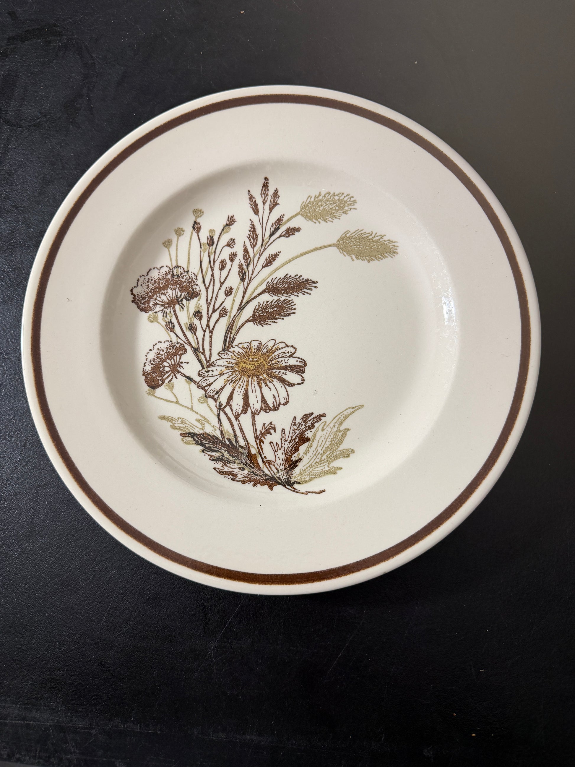 Royal China Co Americana Mist Ceramic Plate 10.5 - MDP-00491