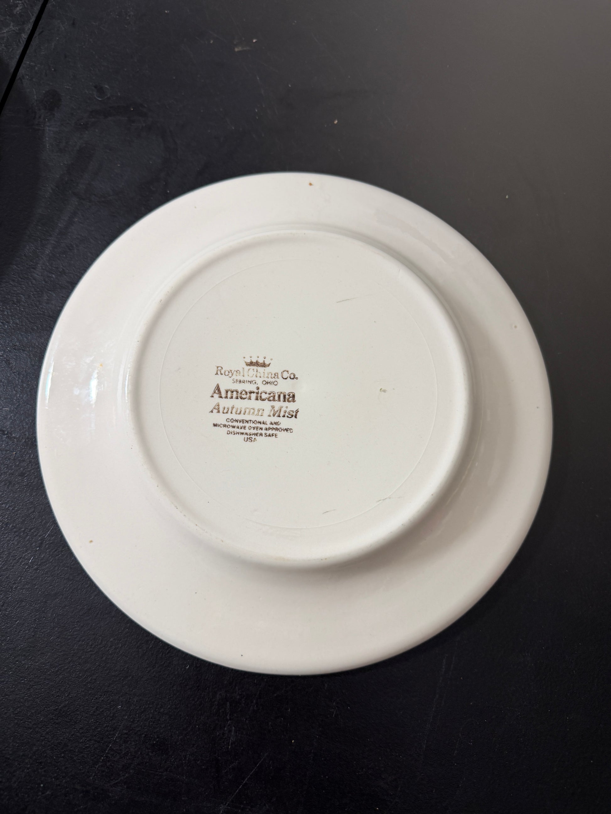 Royal China Co Americana Mist Ceramic Plate 10.5 - MDP-00491