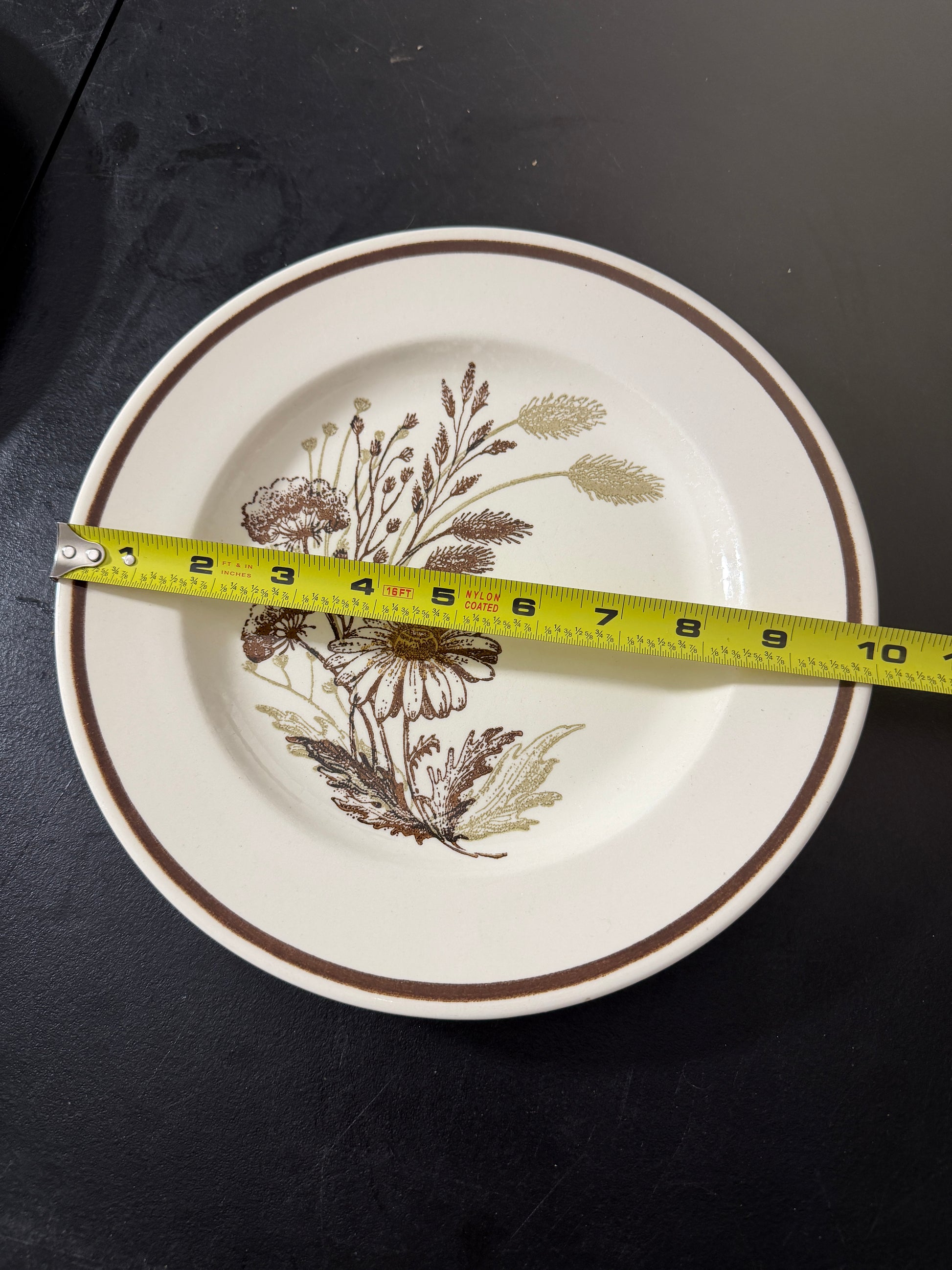 Royal China Co Americana Mist Ceramic Plate 10.5 - MDP-00491