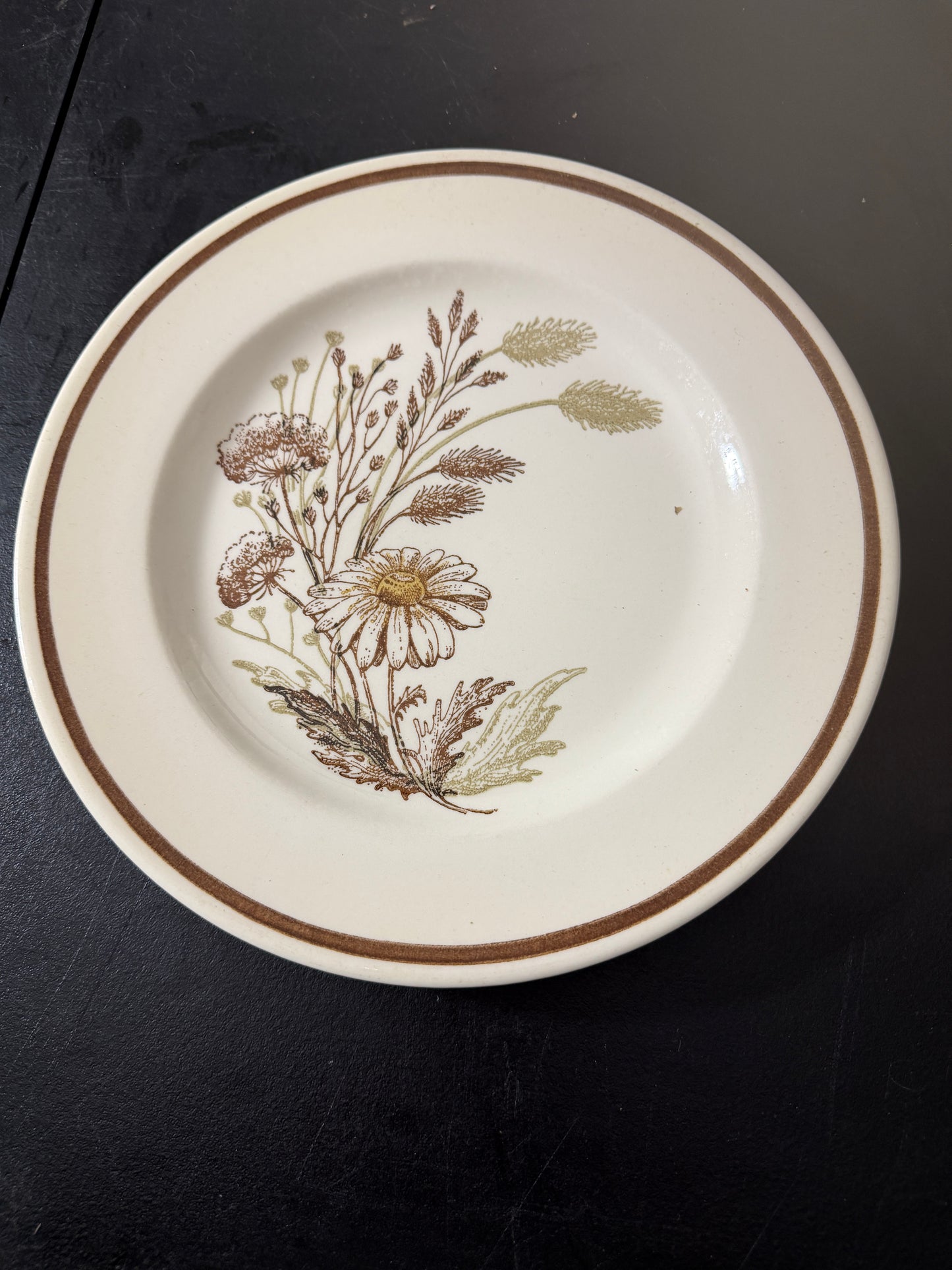 Royal China Co Americana Autumn Mist Ceramic Plate 10.5 inches - MDP-00492