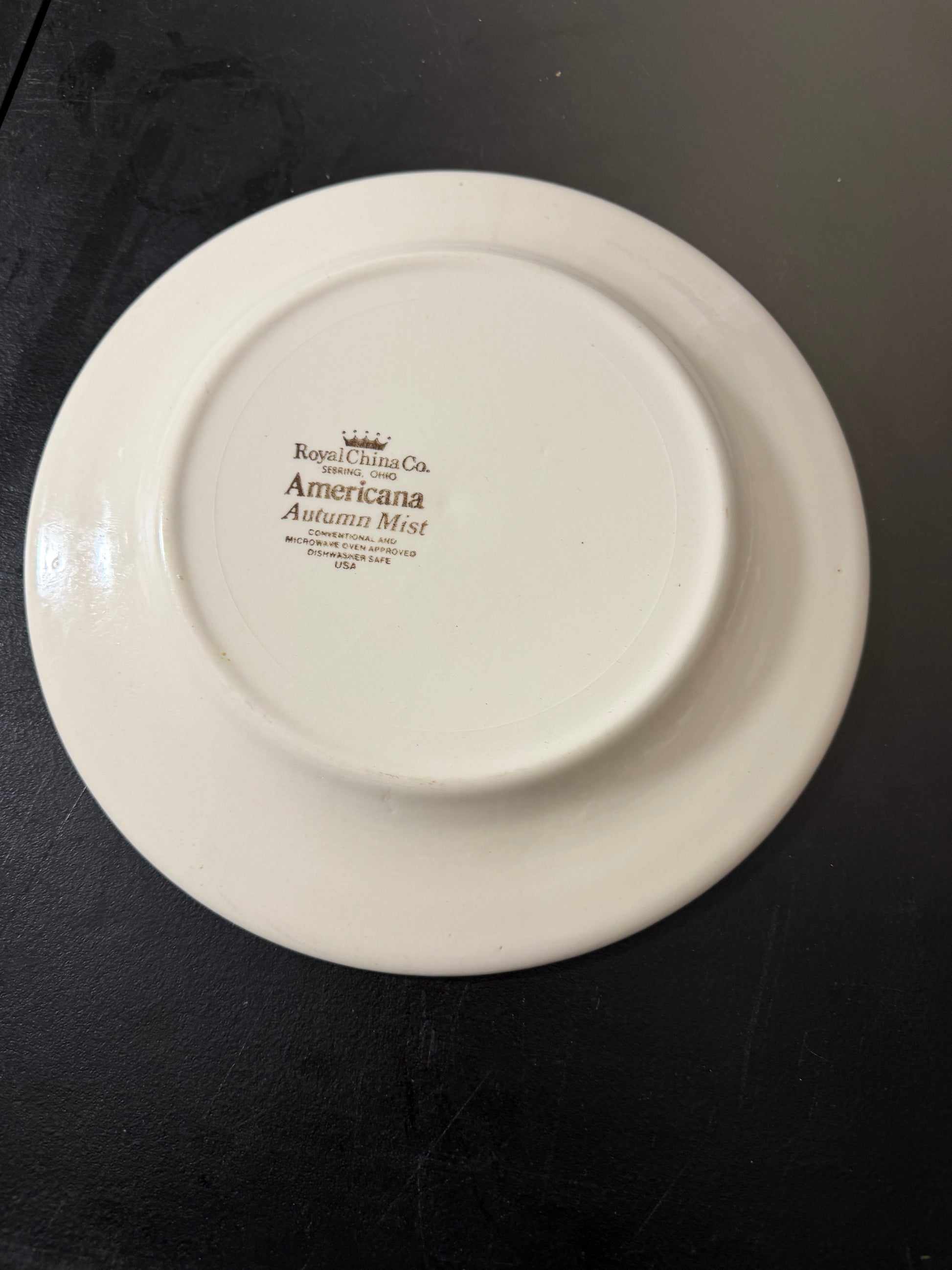 Royal China Co Americana Autumn Mist Ceramic Plate 10.5 inches - MDP-00492