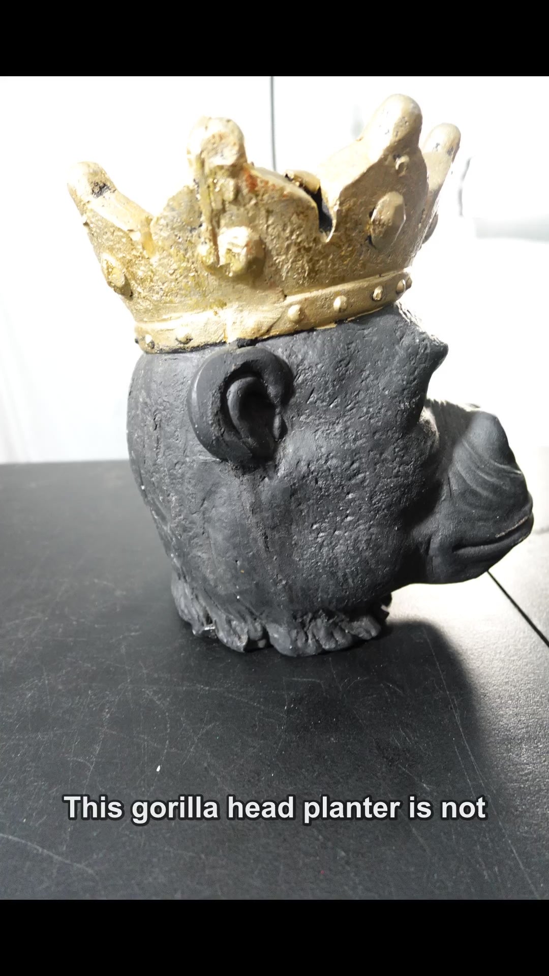 MDP-00503 Rag and Rust narrated slideshow social video 2026-06-05-v8-new-female-full - Sagebrook Home Resin 12 Gorilla Head Planter with Crown, Black
